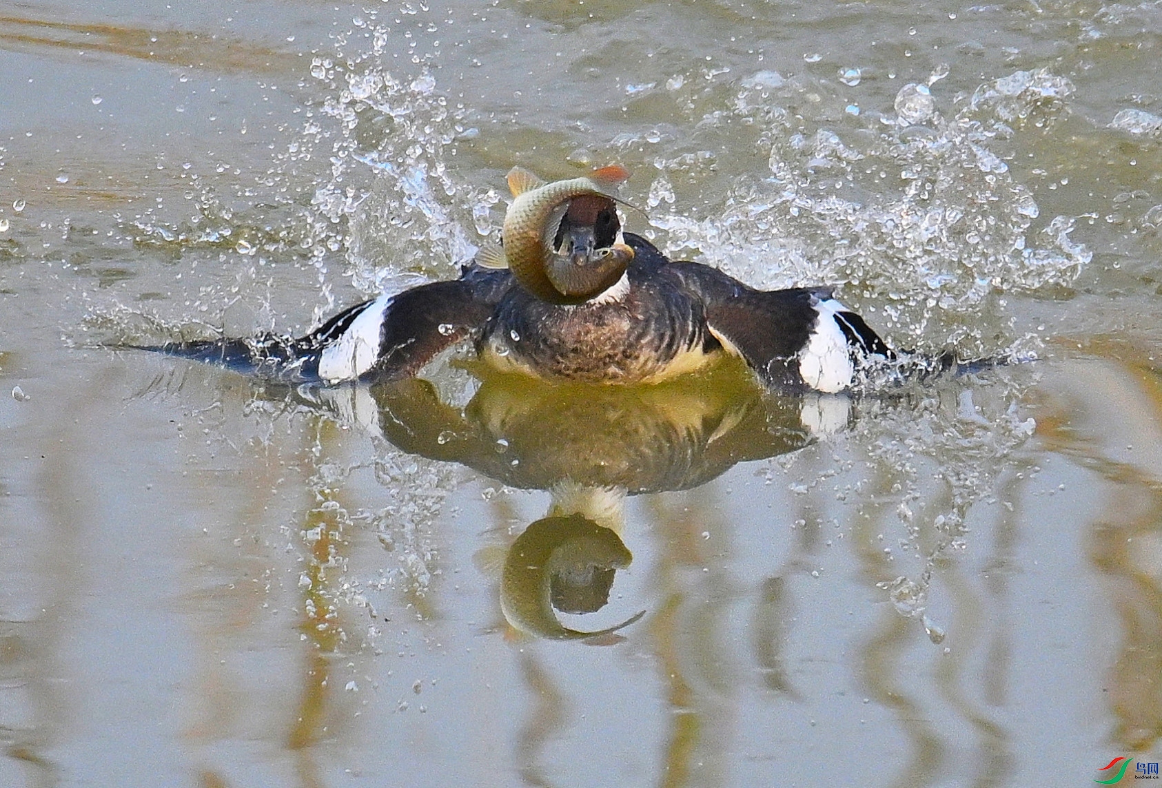 DSC_8737.JPG
