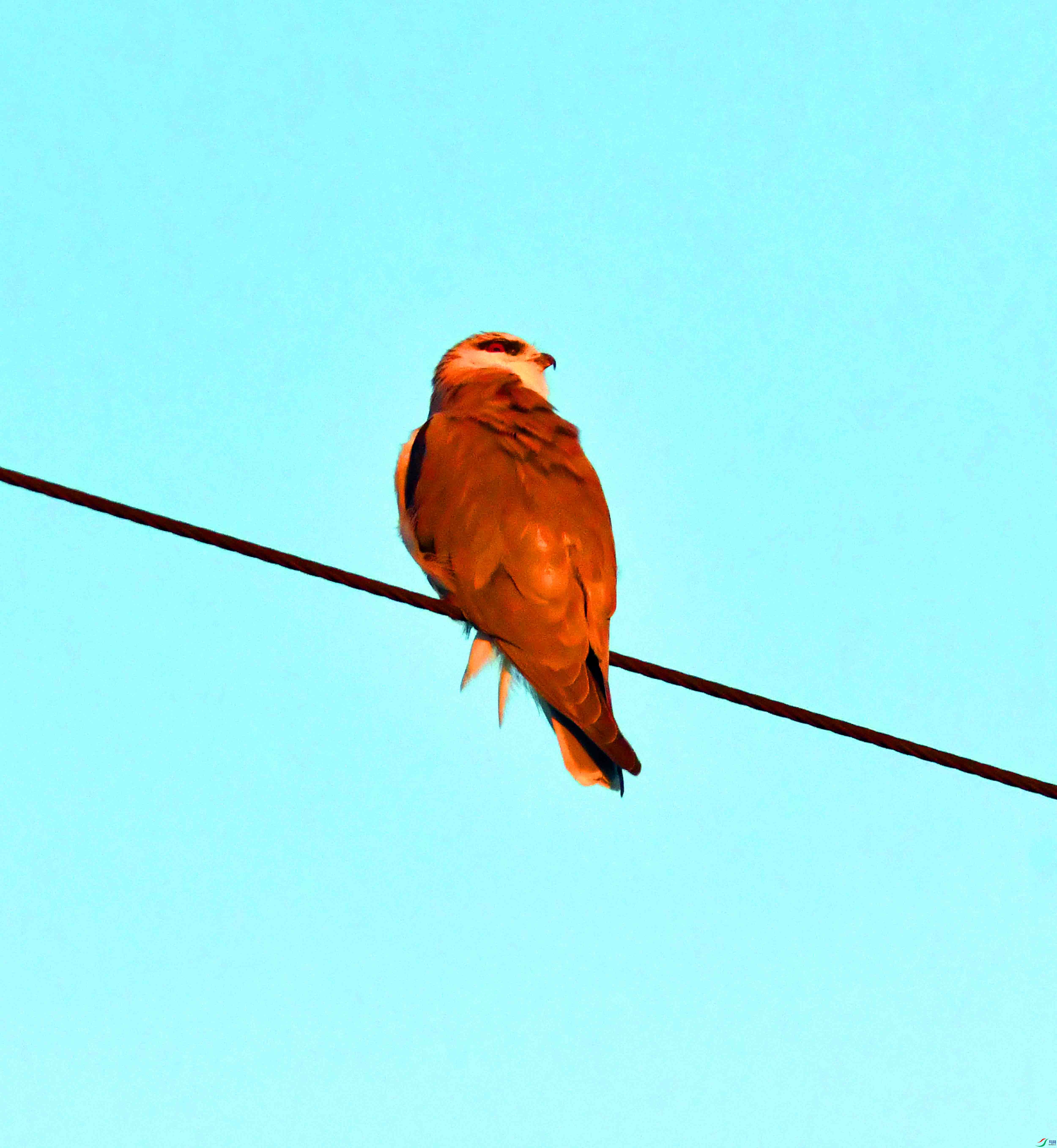 DSC_3213.JPG