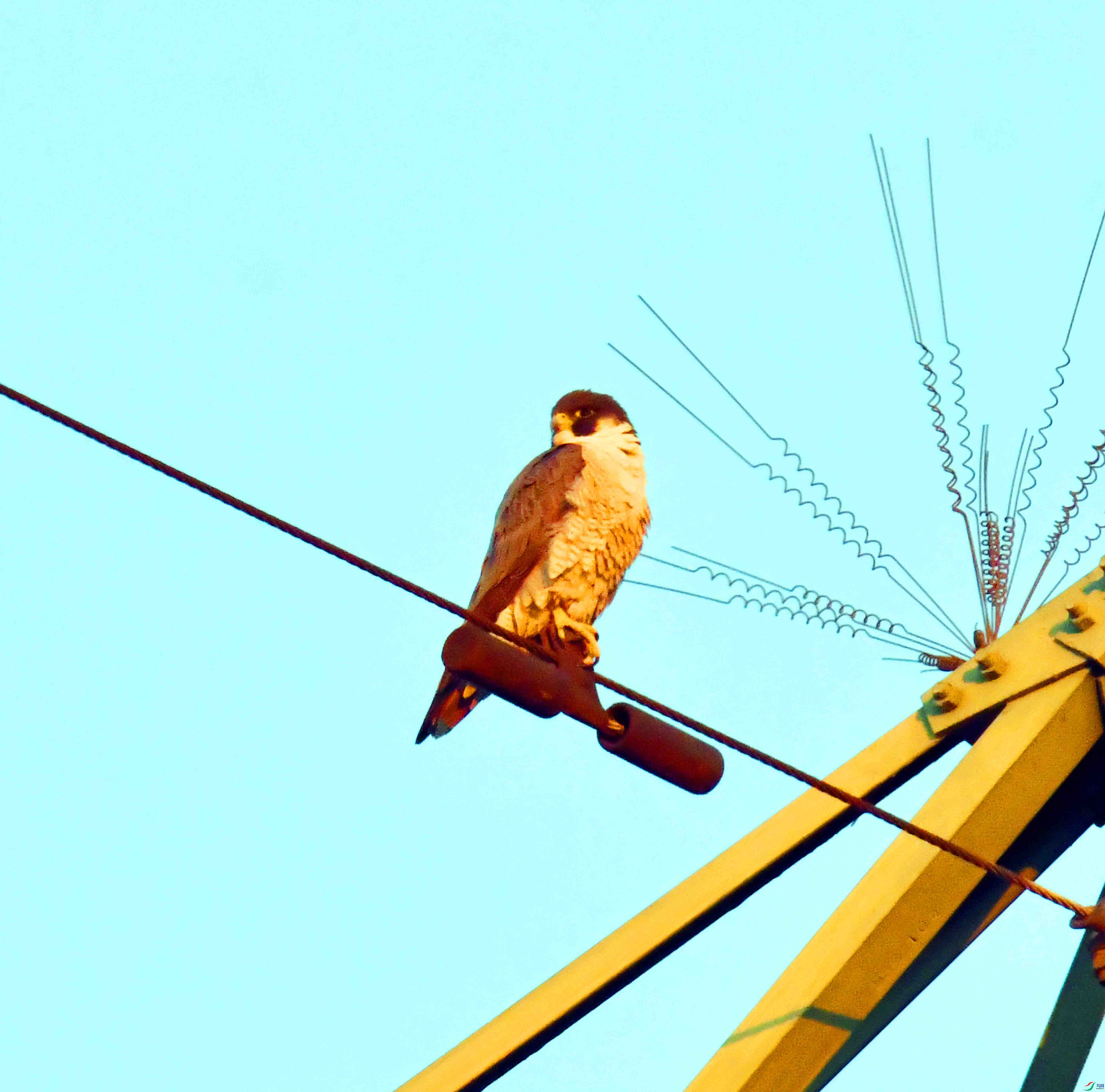 DSC_4058.JPG
