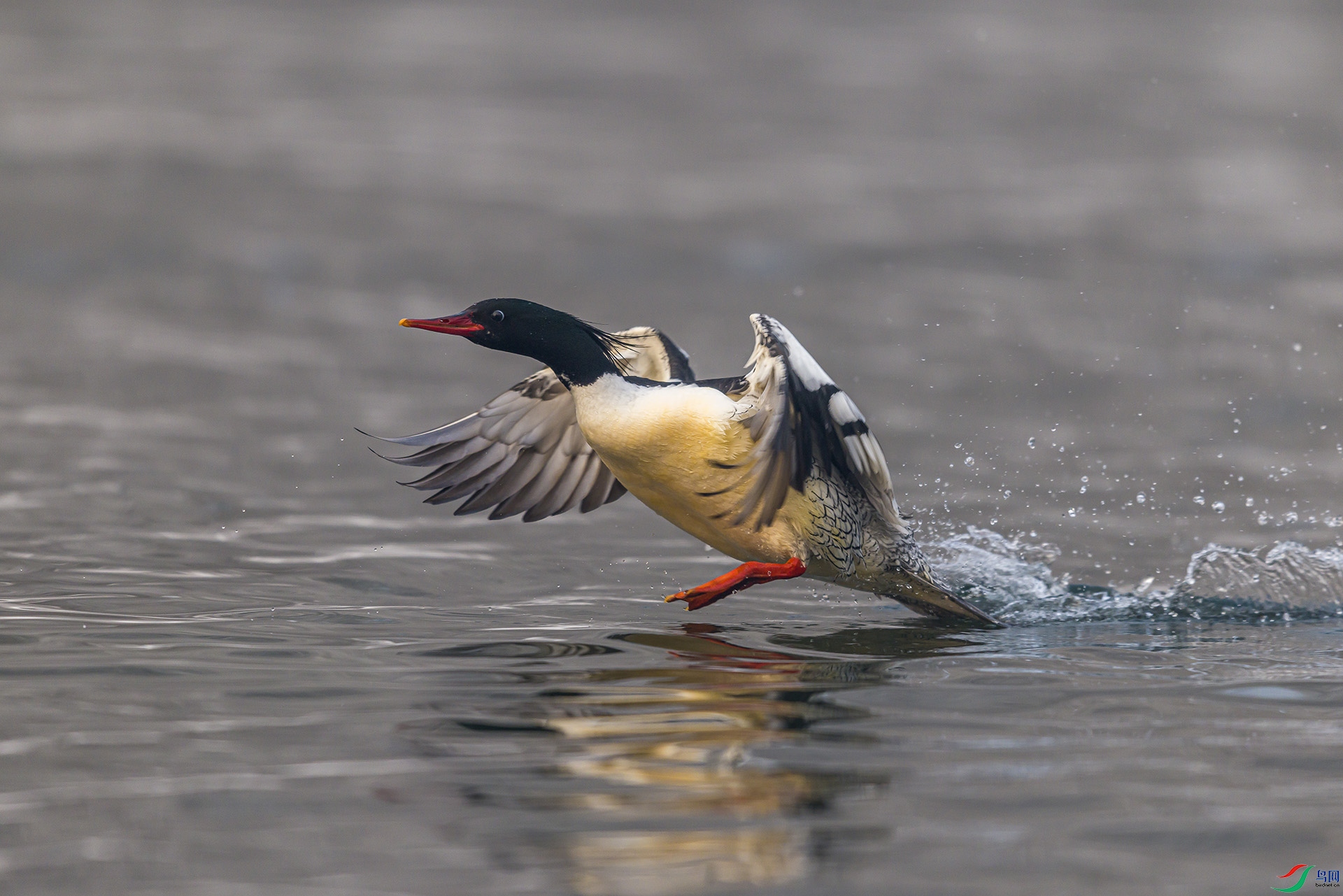 051A4222 ����n.jpg