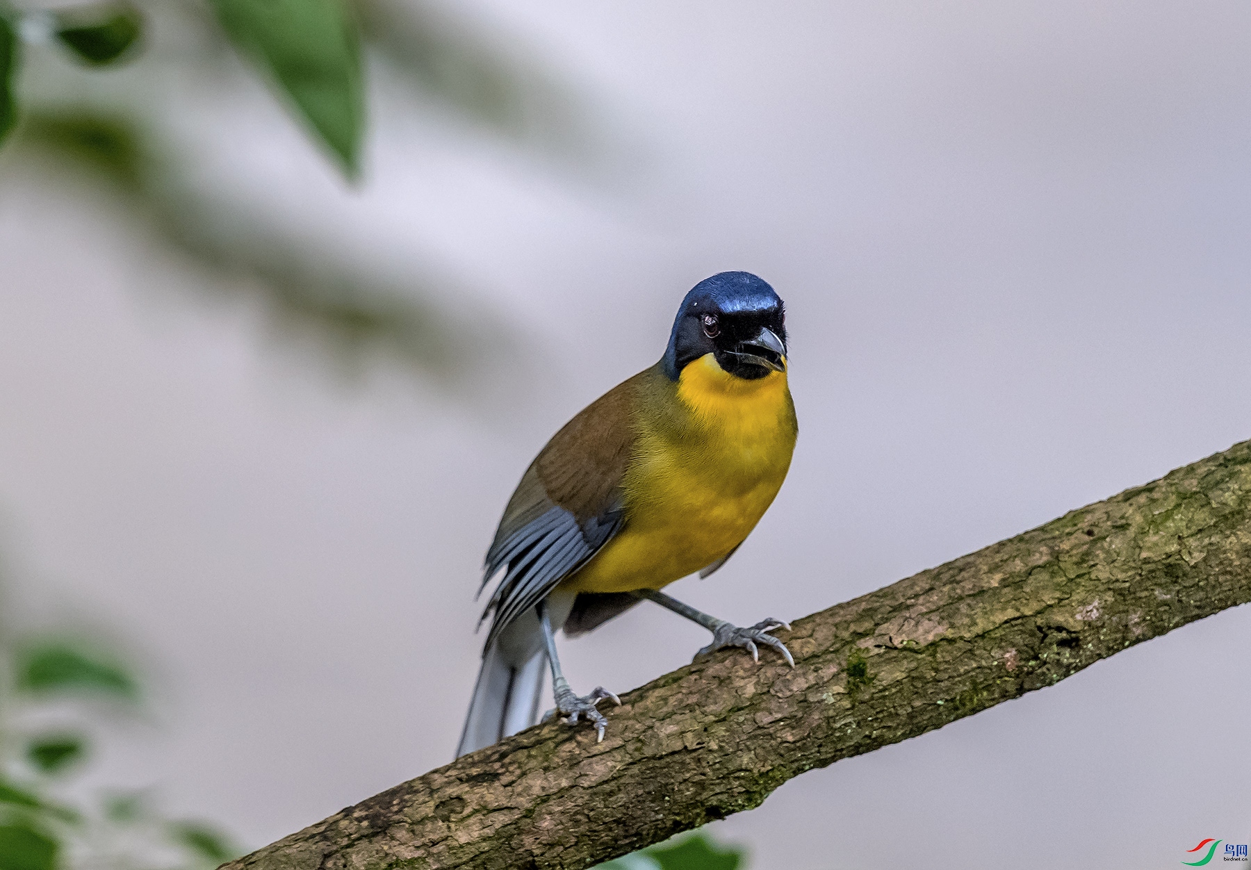 DSC_3948.jpg