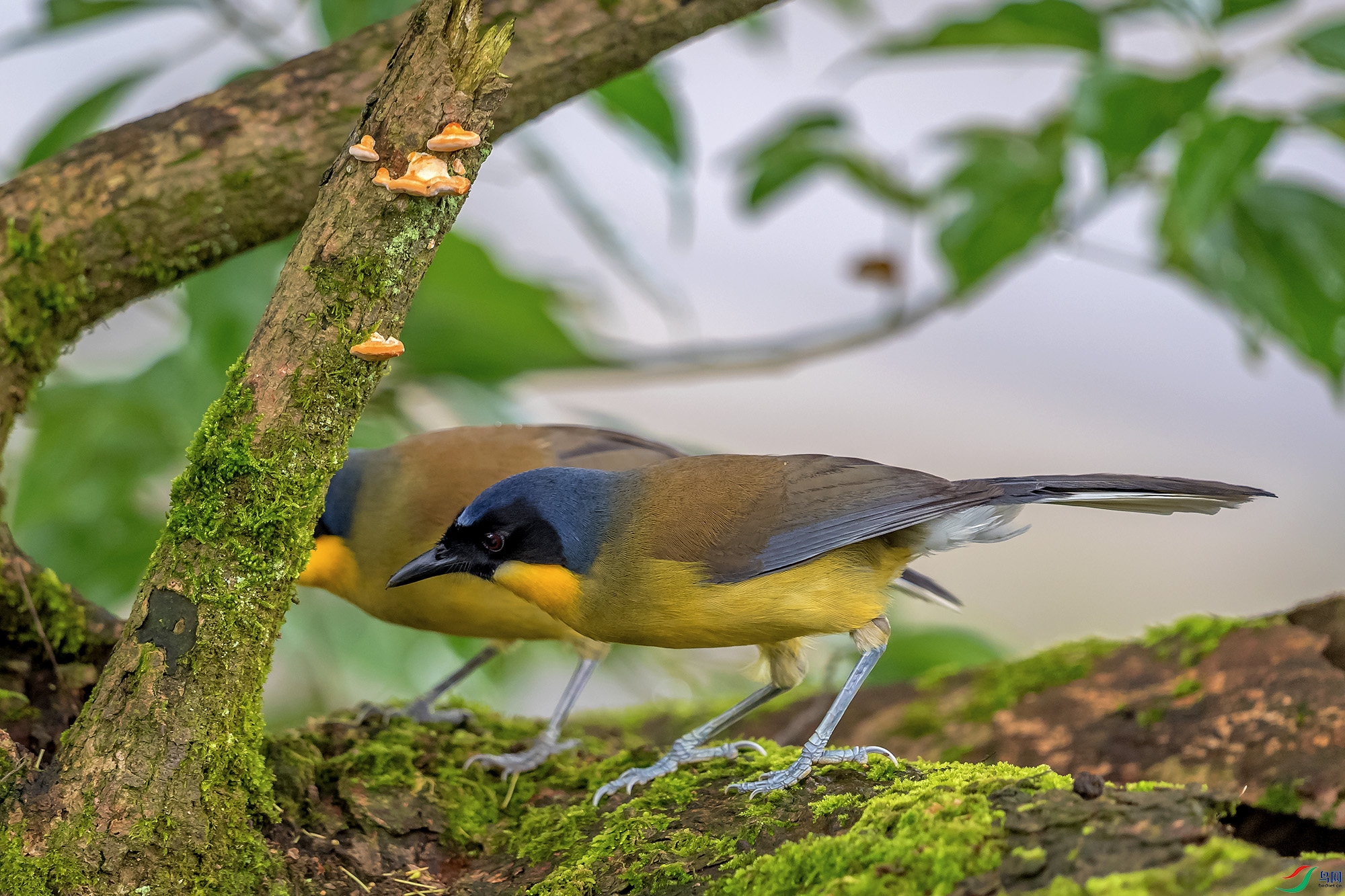 DSC_4780.jpg