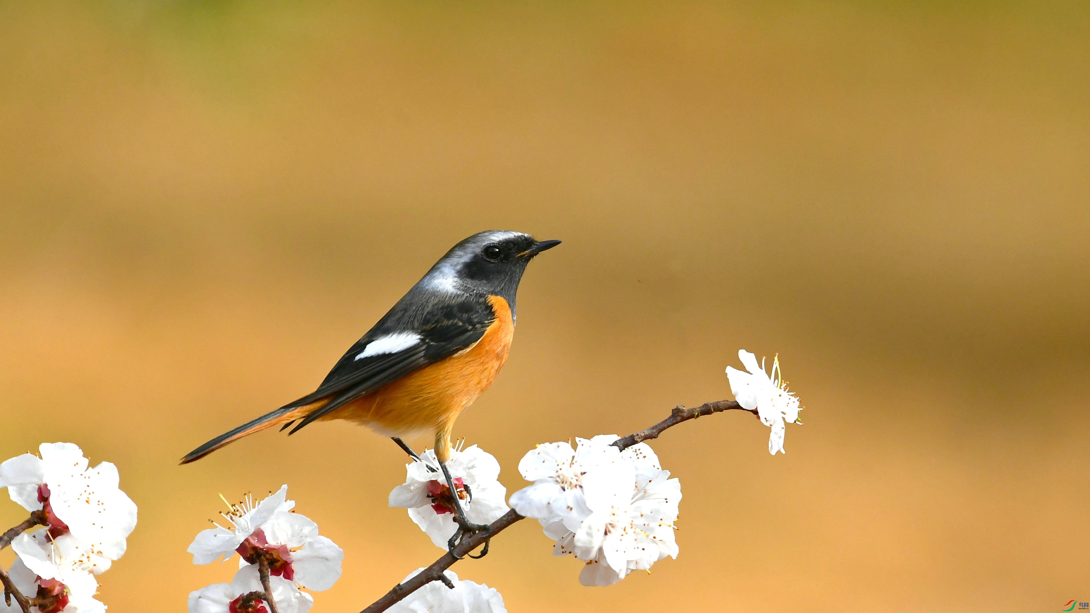 DSC_7376.JPG
