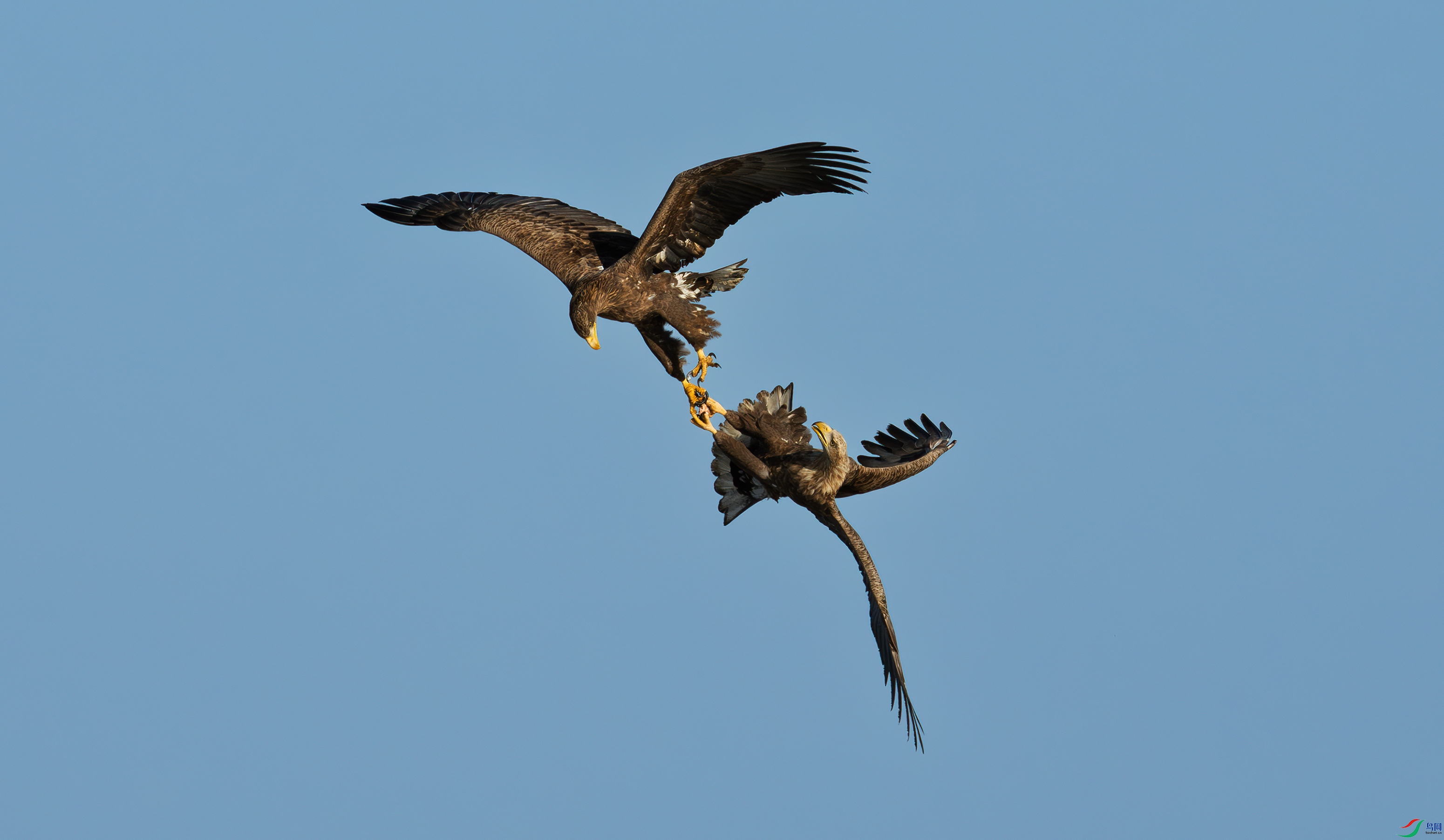 _DSC6256 ����.jpg