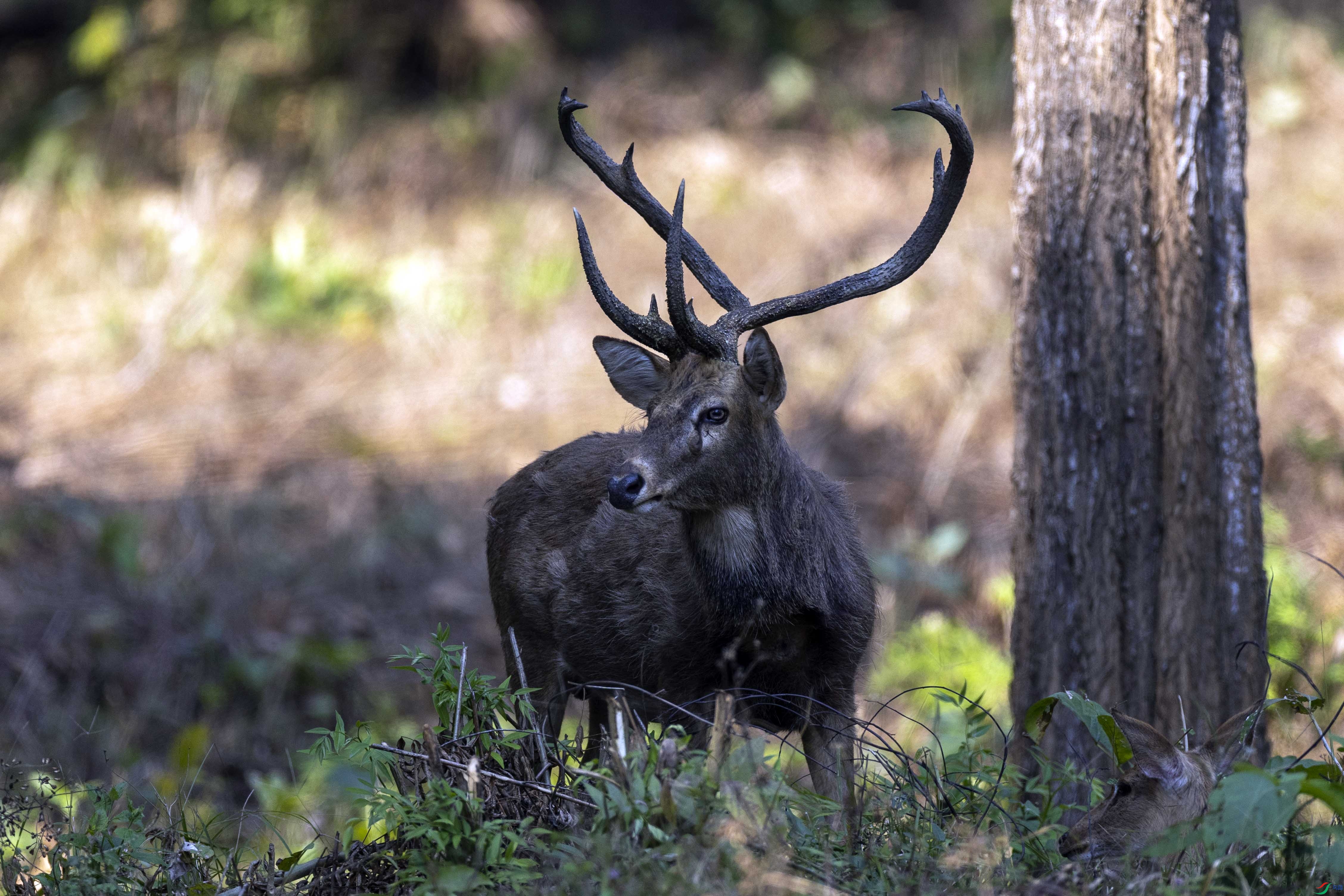 2I4A9199��¹1 (2).jpg