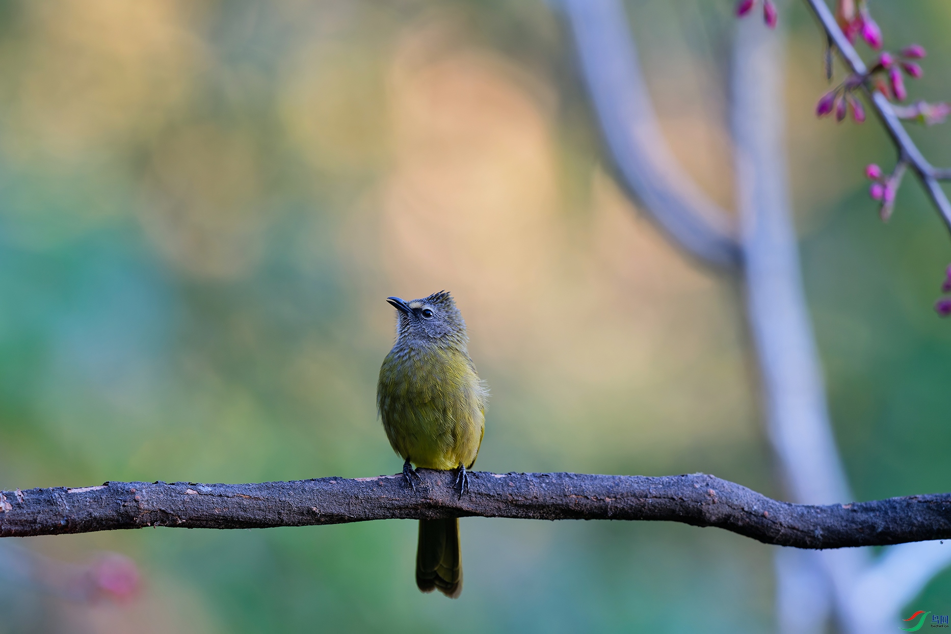 3DSC_0742_DxO_DxOa.jpg