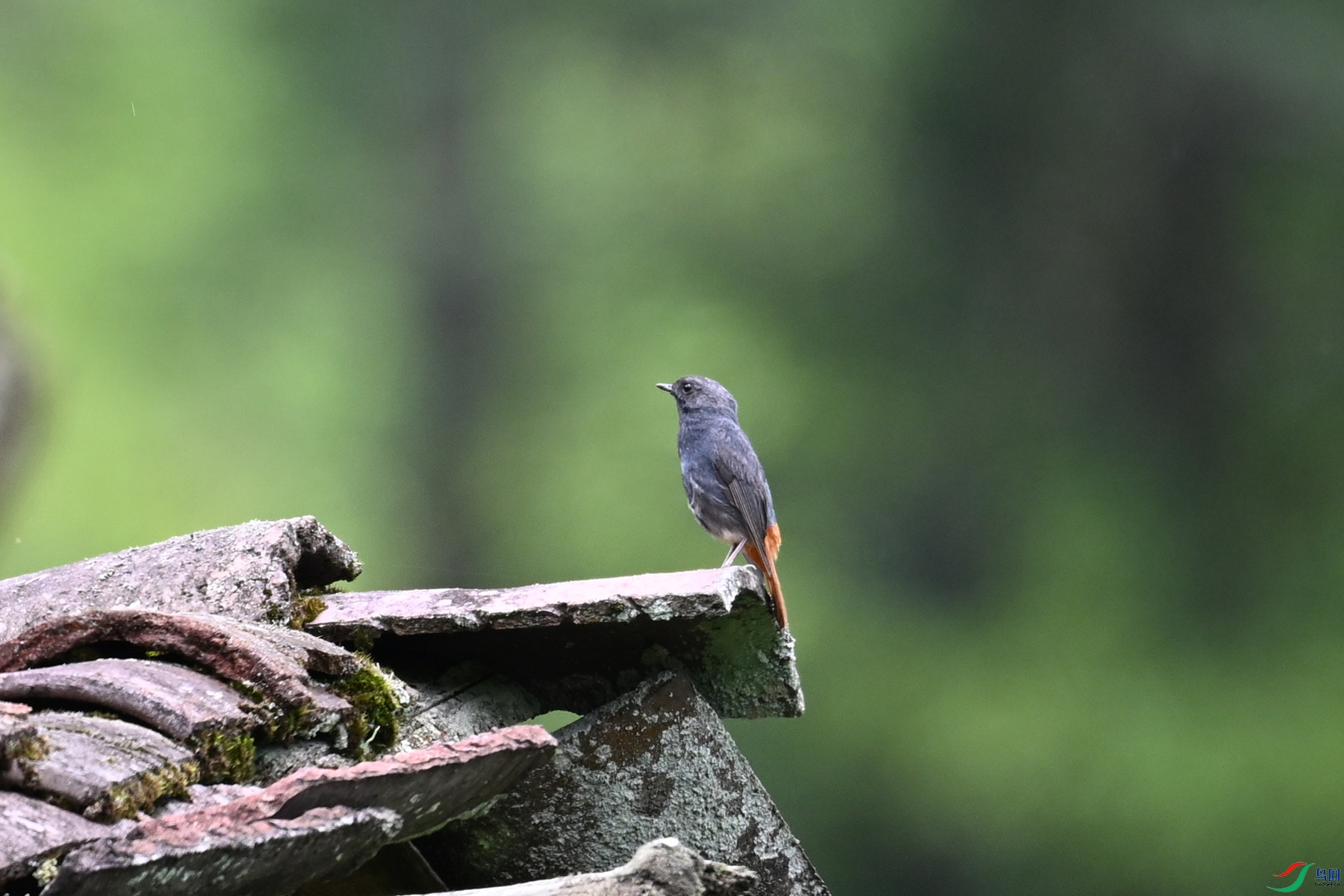 DSC_2908.JPG