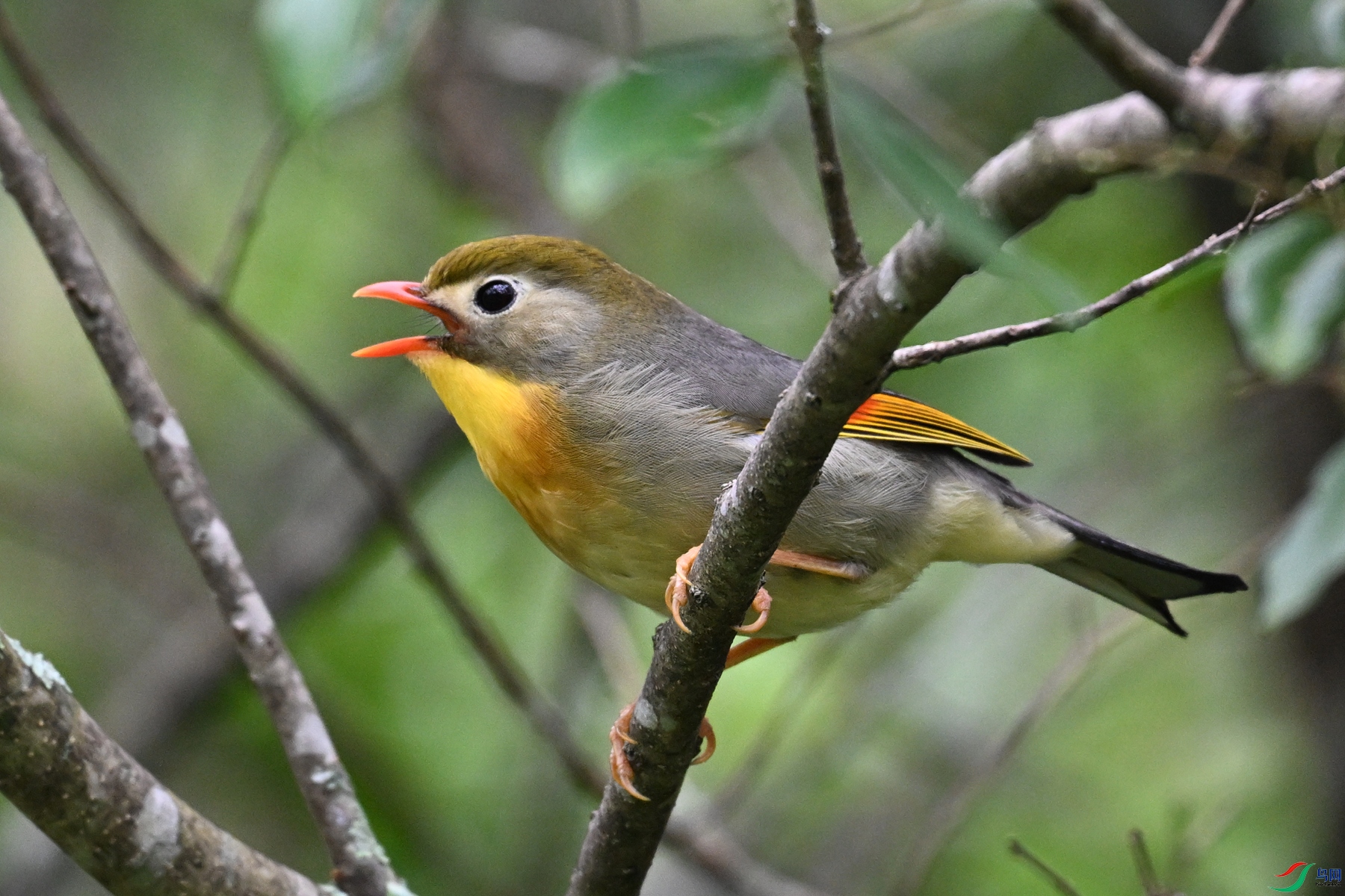 DSC_2835.JPG