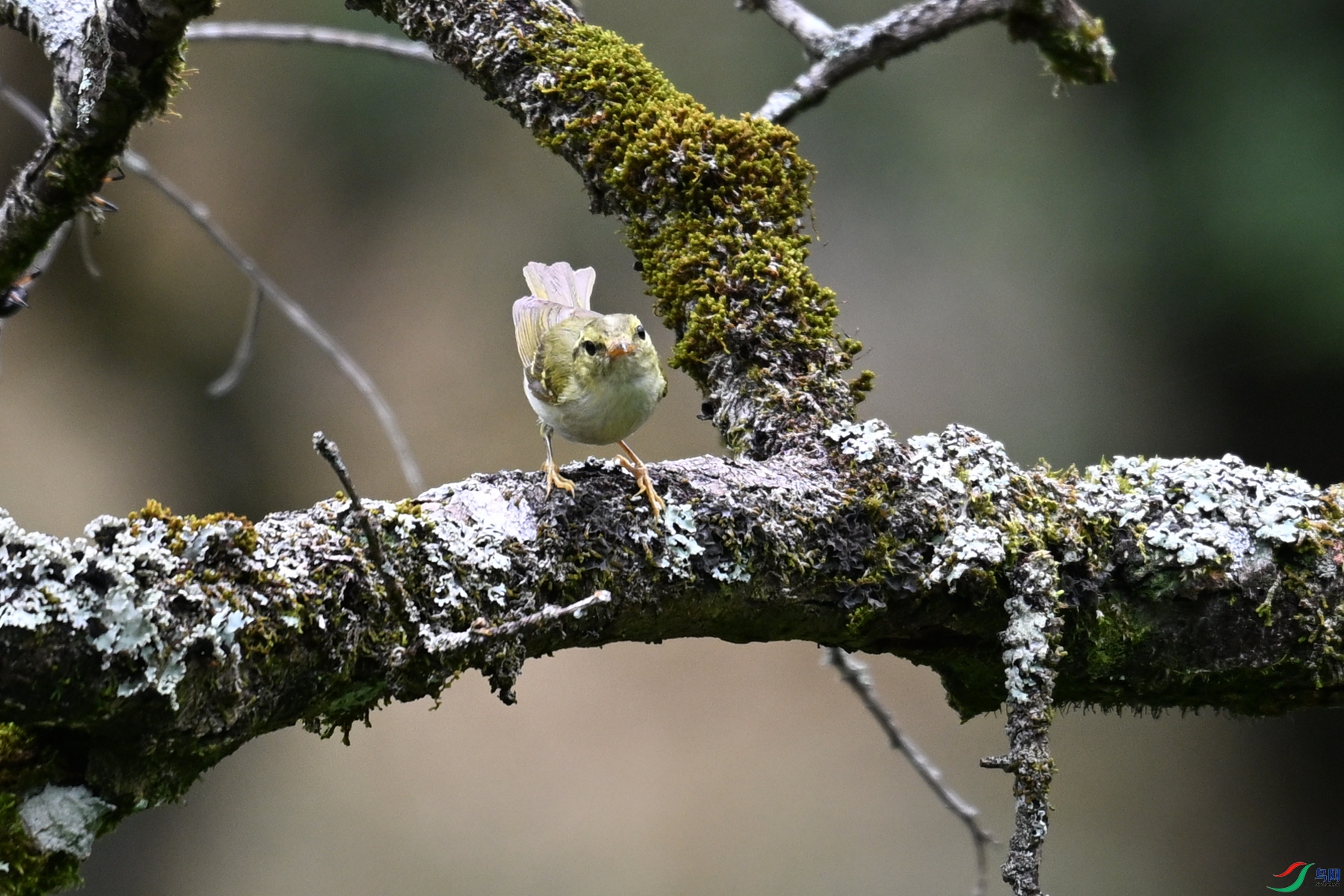 DSC_2986.JPG