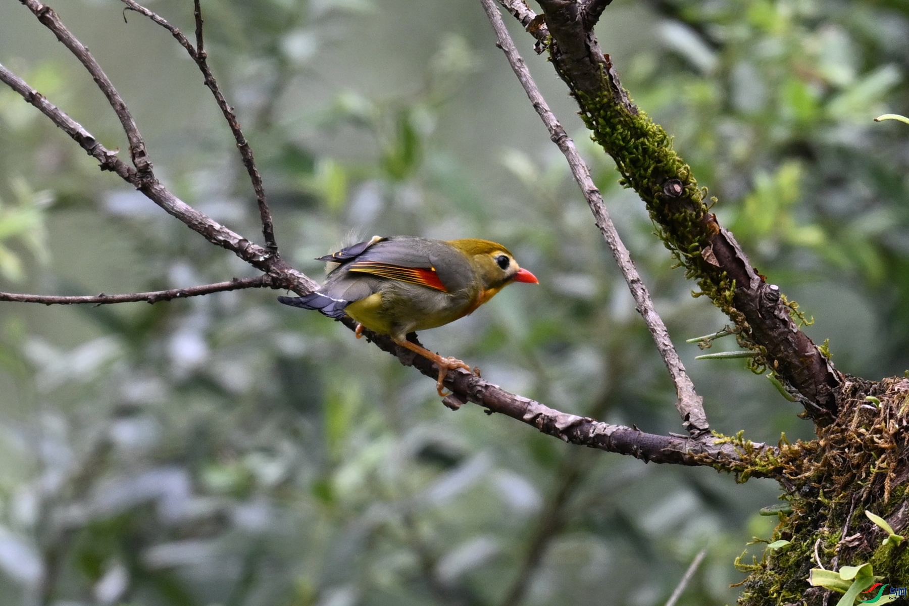DSC_3004.JPG