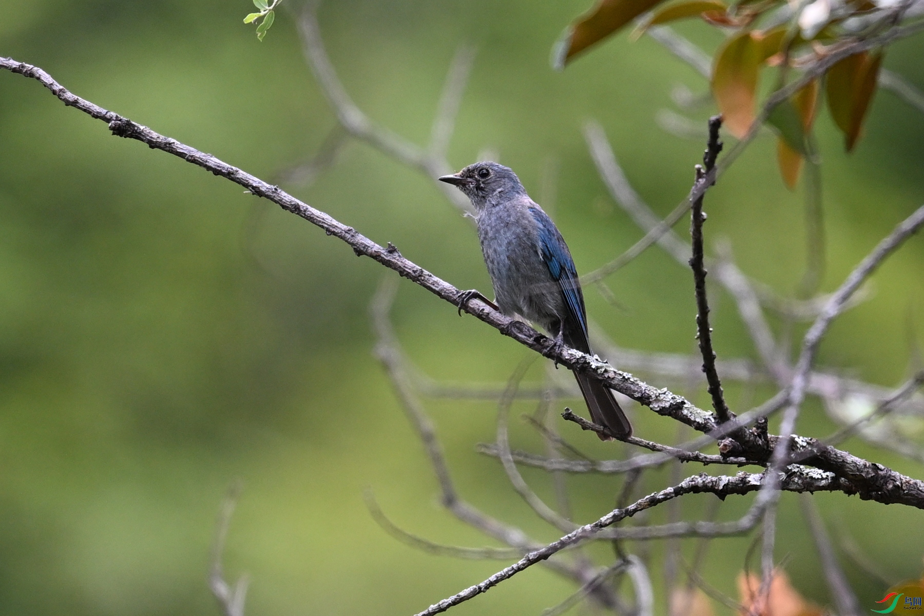 DSC_3020.JPG