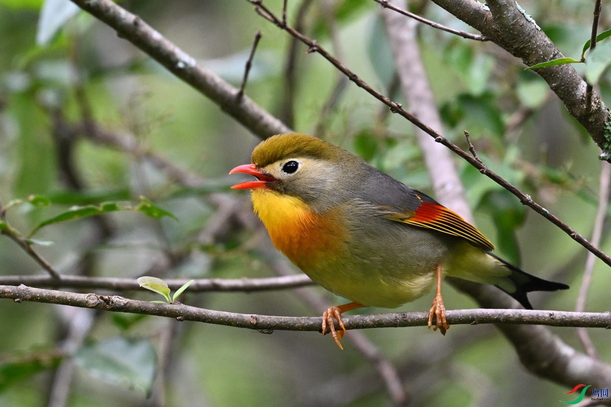 DSC_2841.JPG