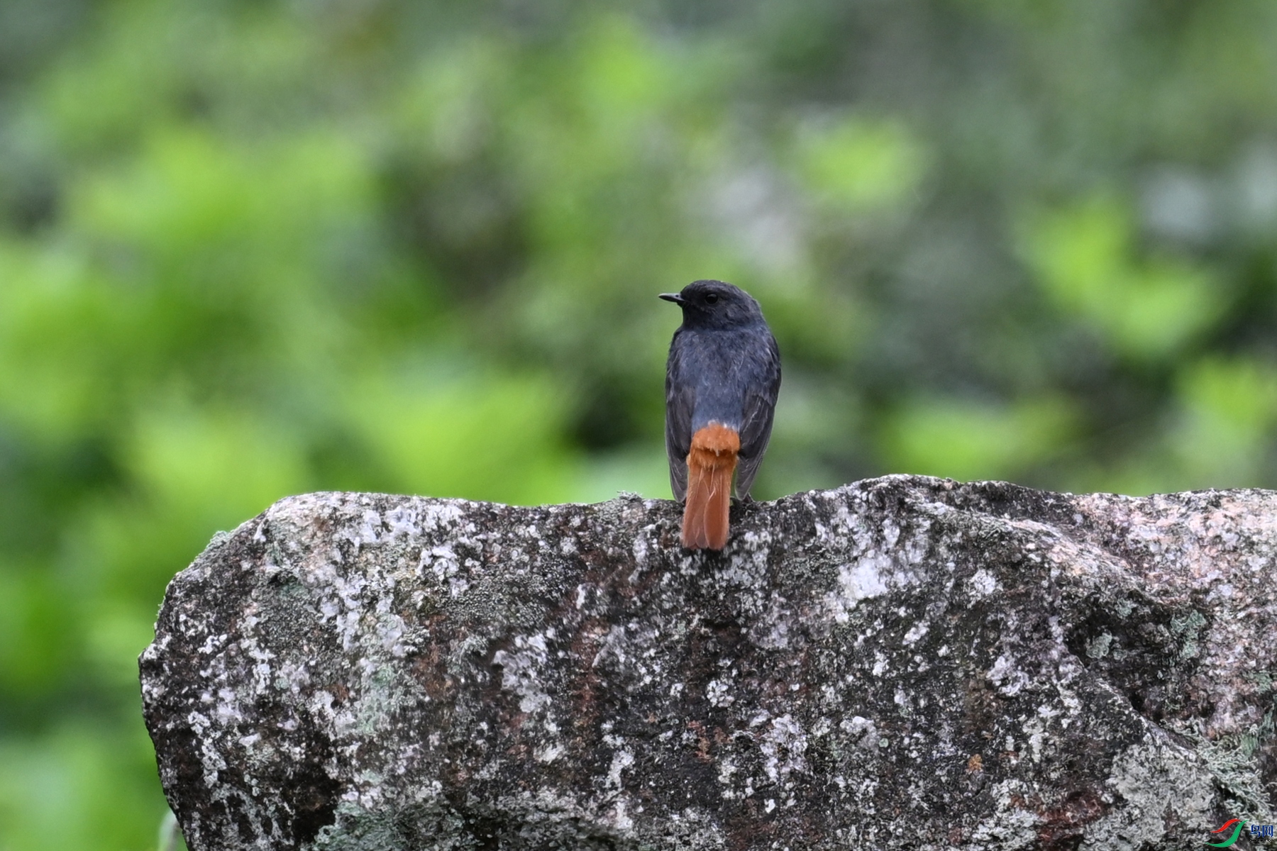 DSC_2902.JPG
