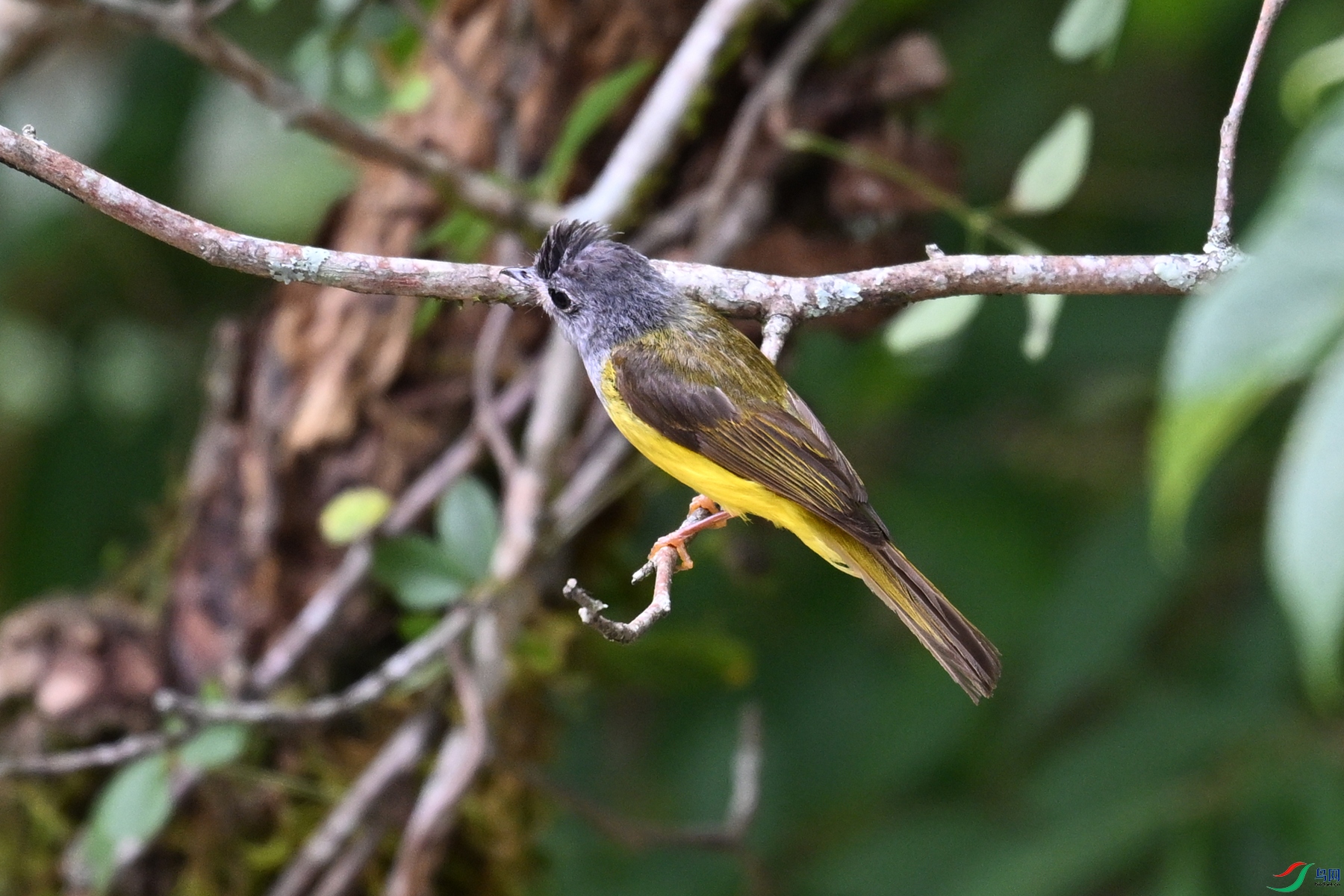 DSC_2994.JPG