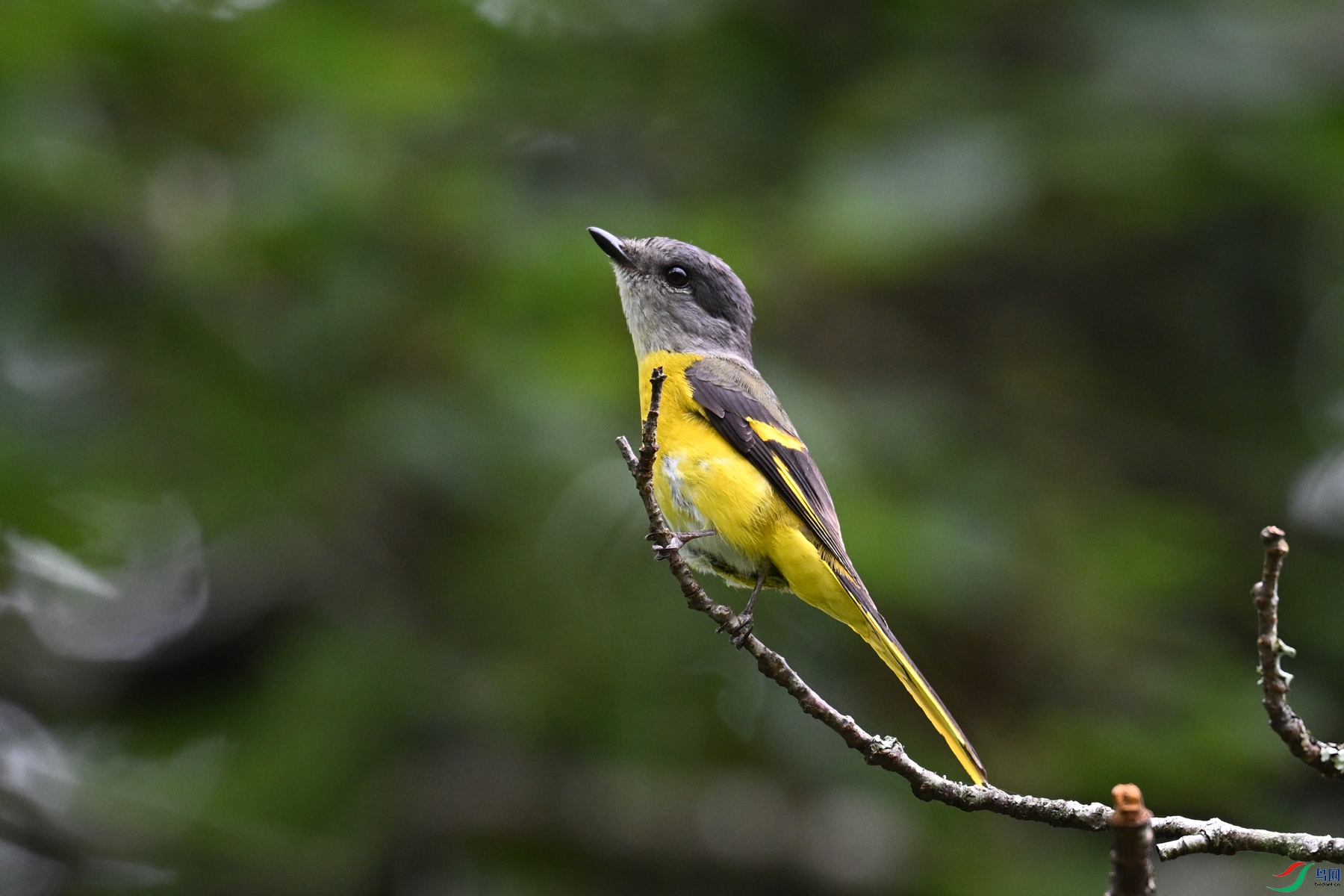 DSC_2854.JPG