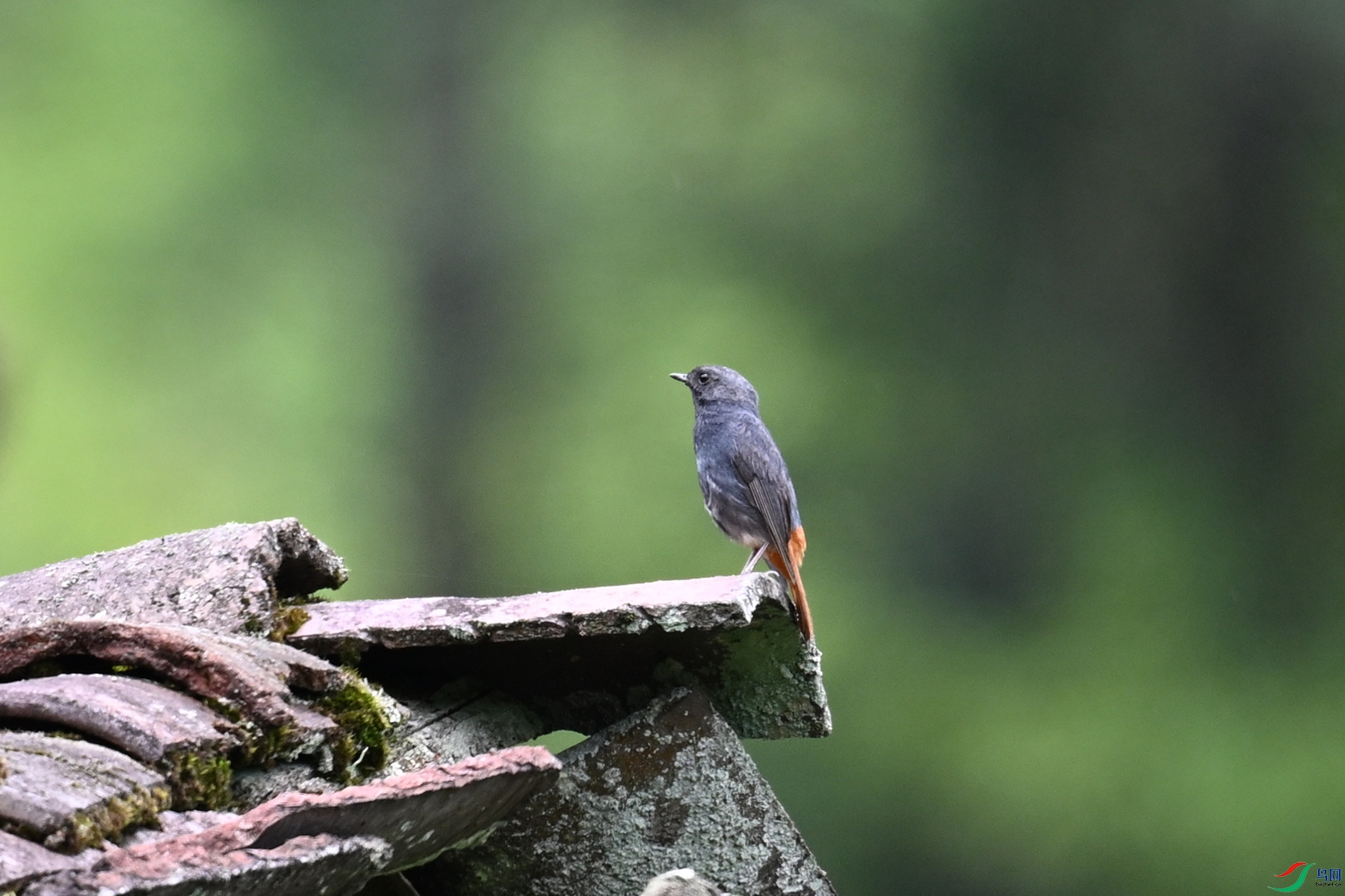 DSC_2907.JPG