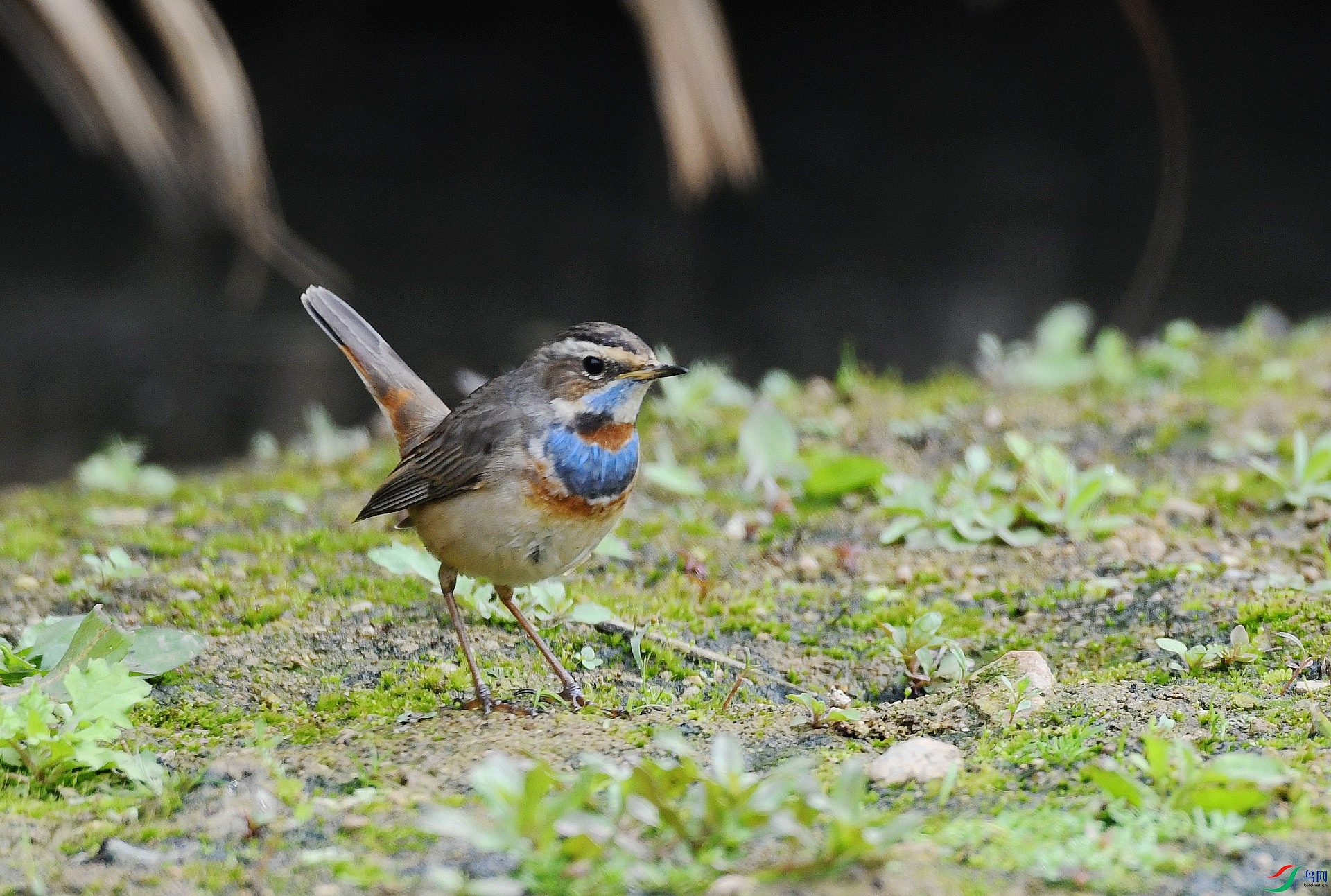 DSC_7586.jpg