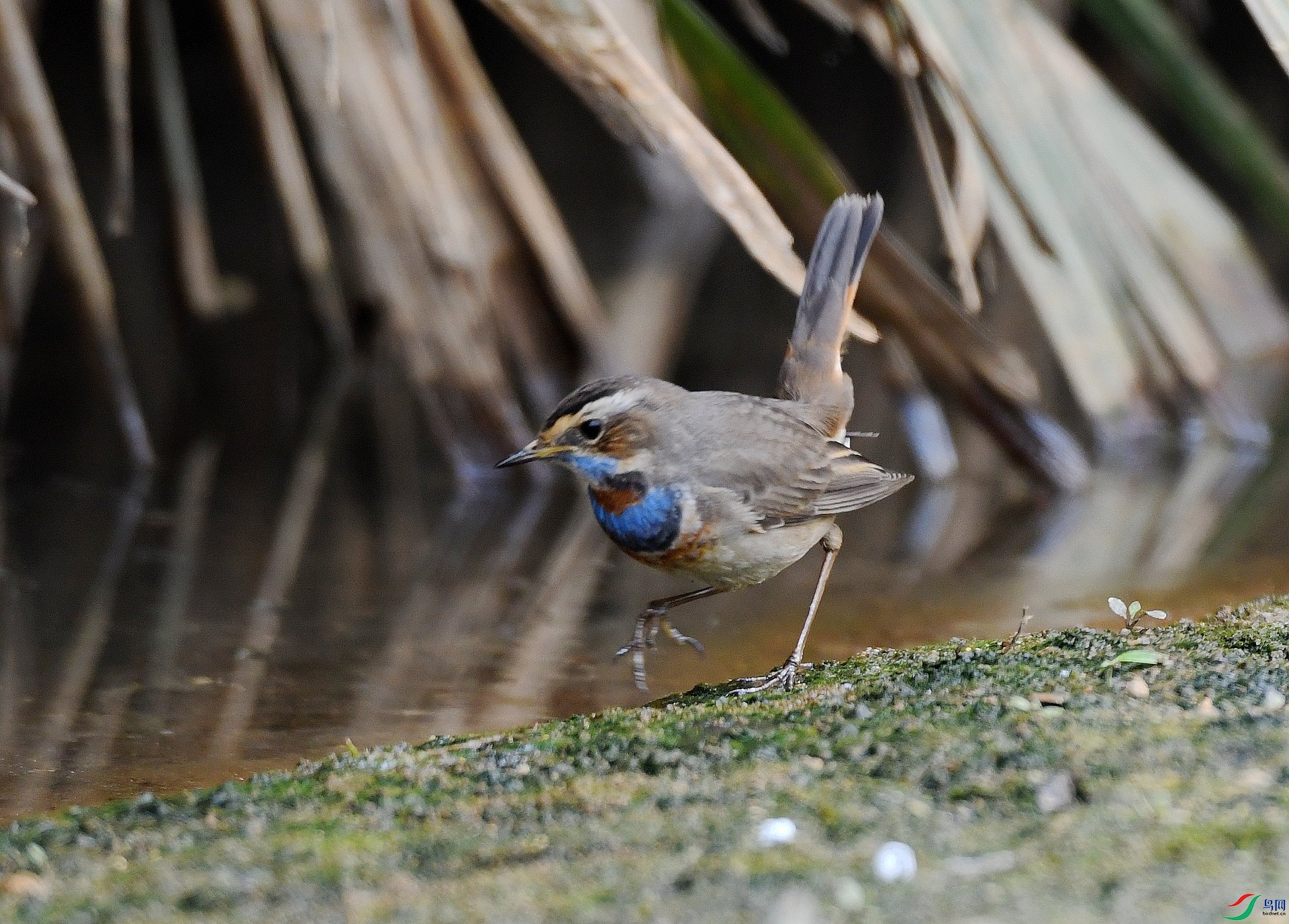DSC_7613.jpg