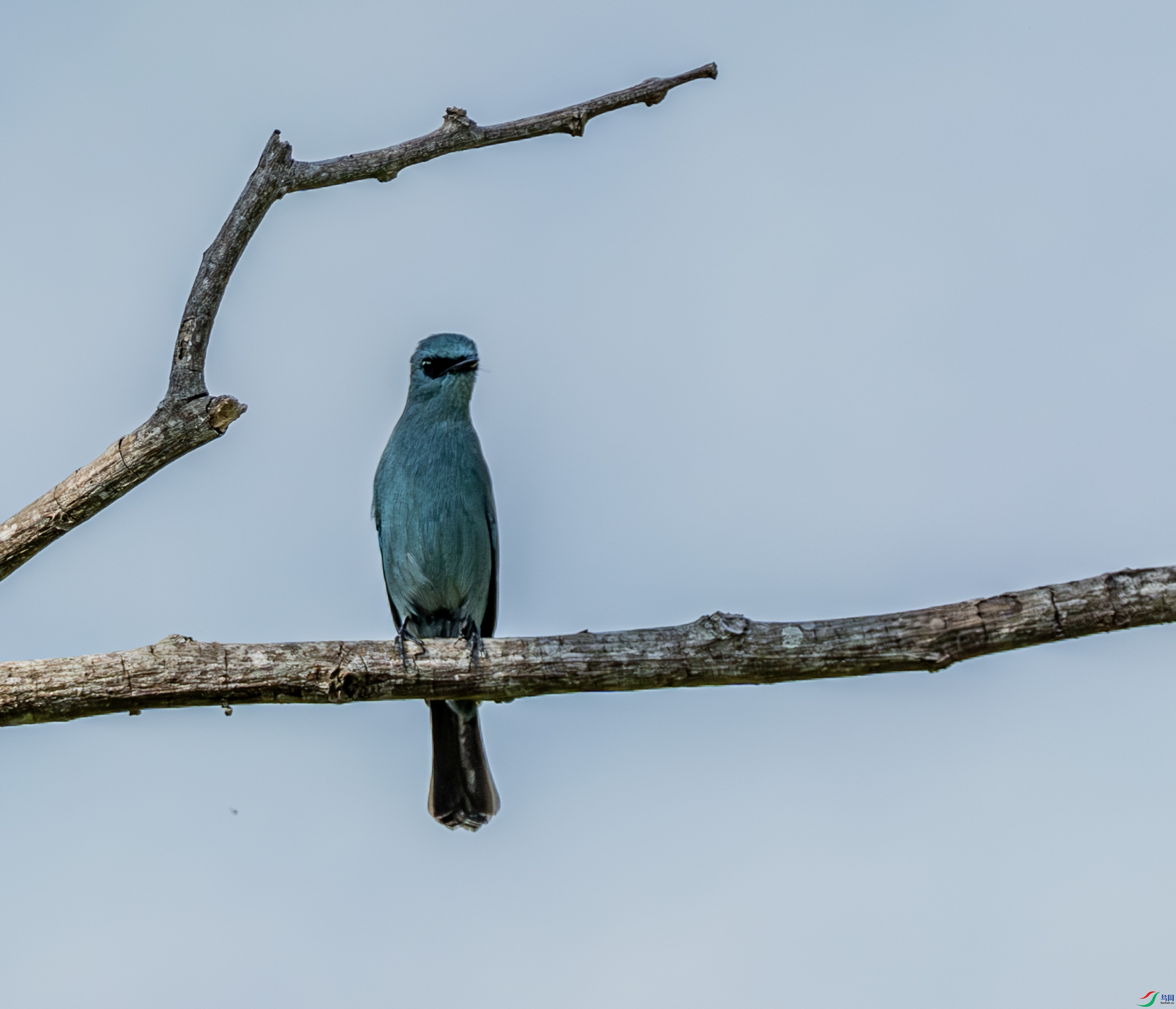 ͭ���l-01-5.jpg