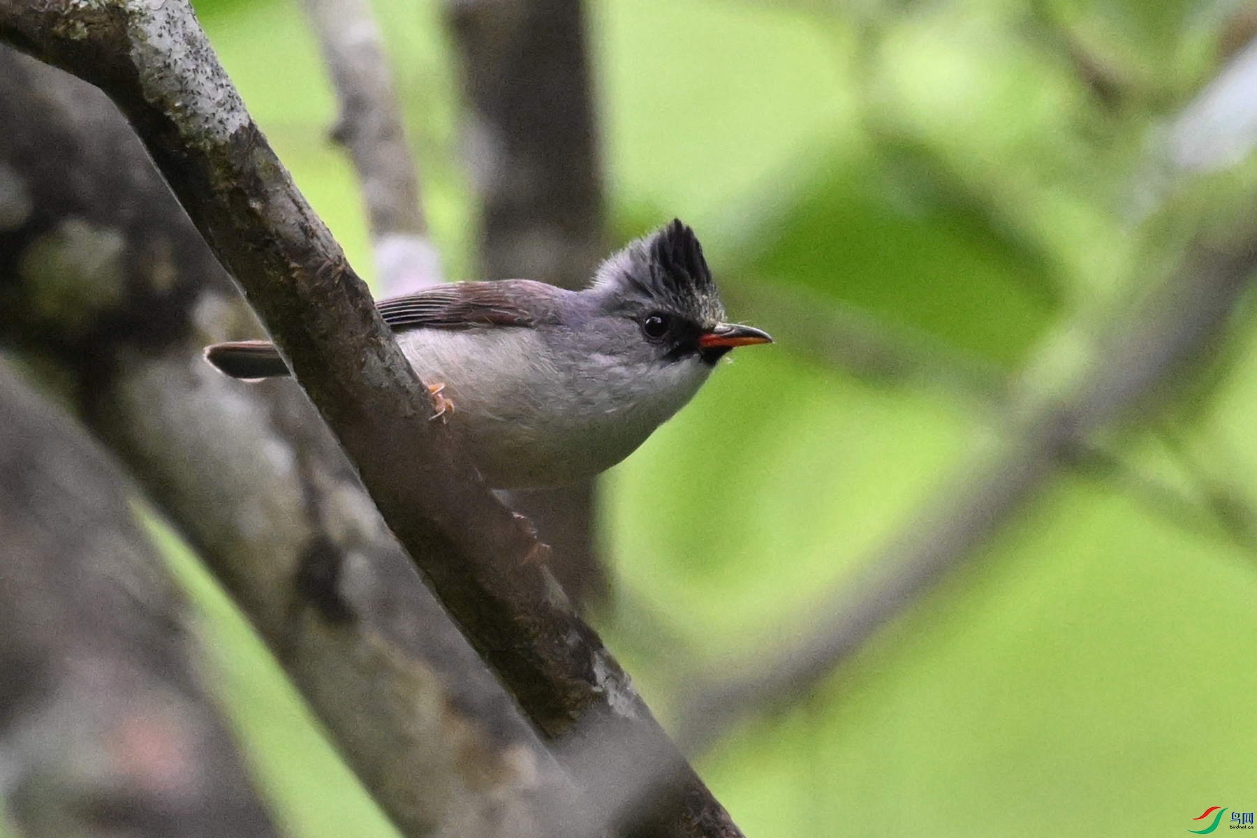 DSC_2573.JPG