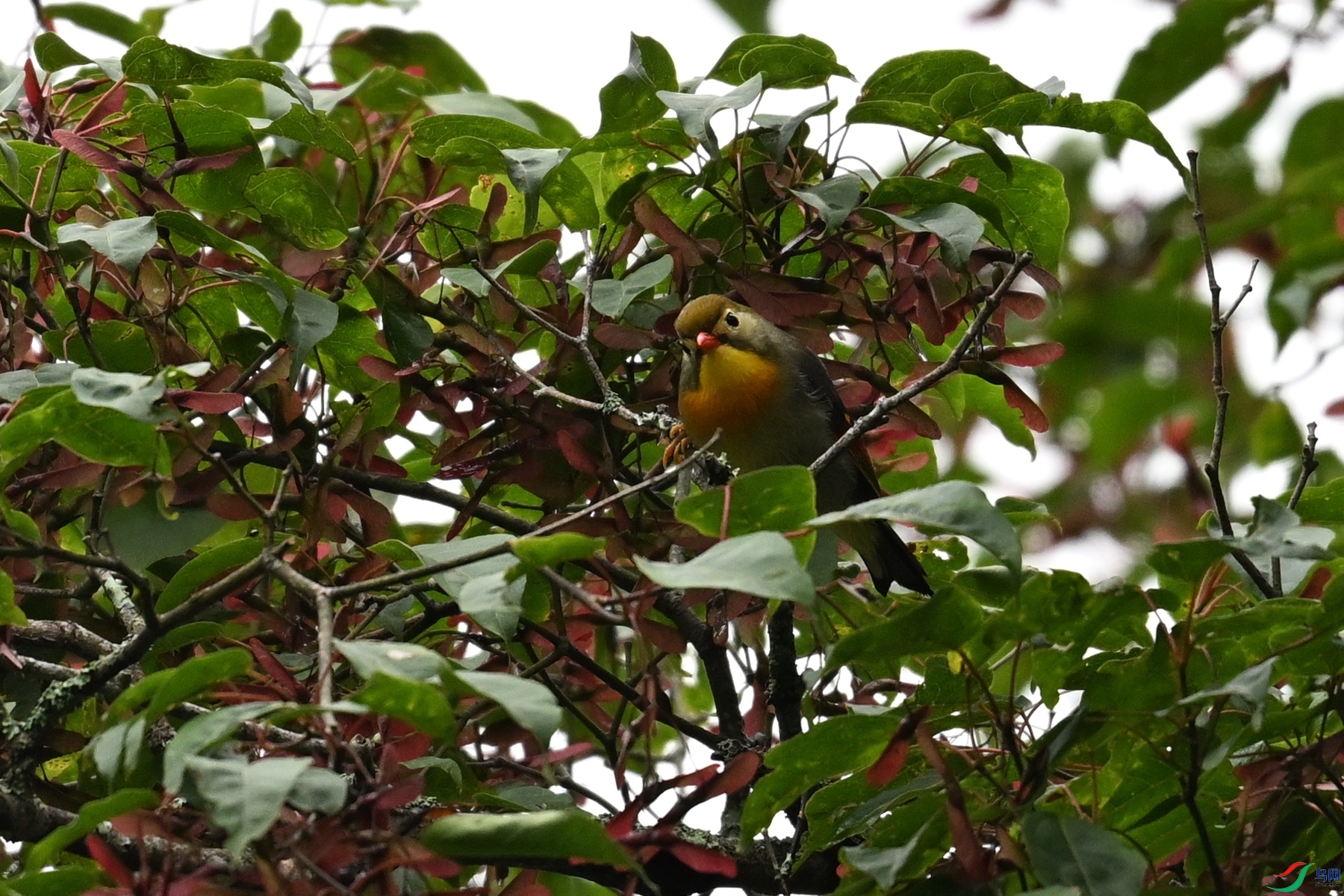 DSC_2717.JPG