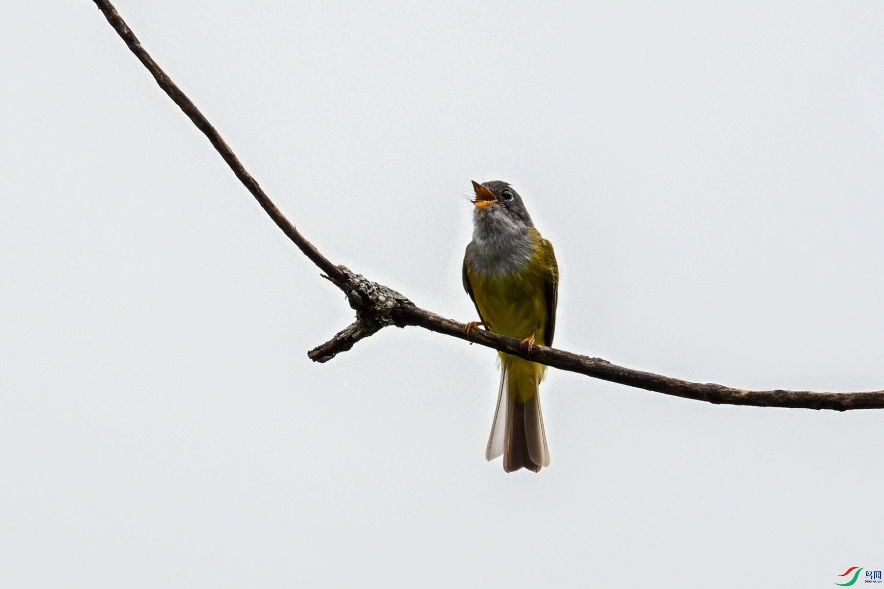 DSC_2734.JPG