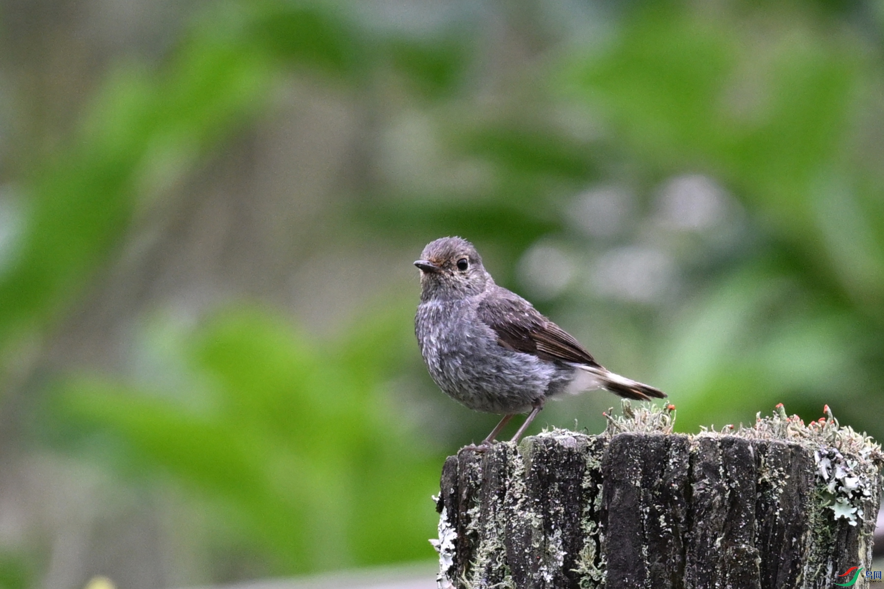 DSC_2760.JPG