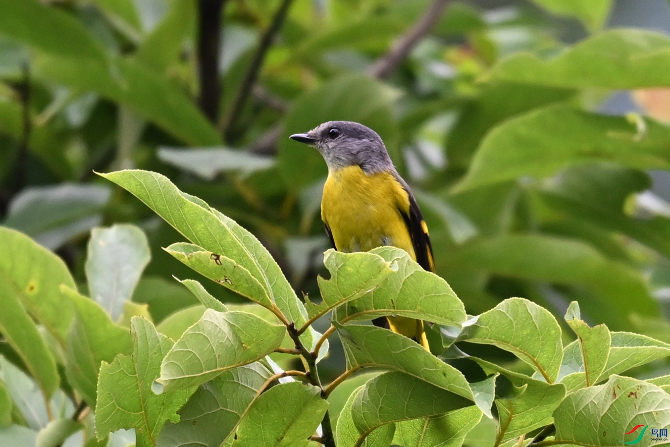 DSC_2842.JPG