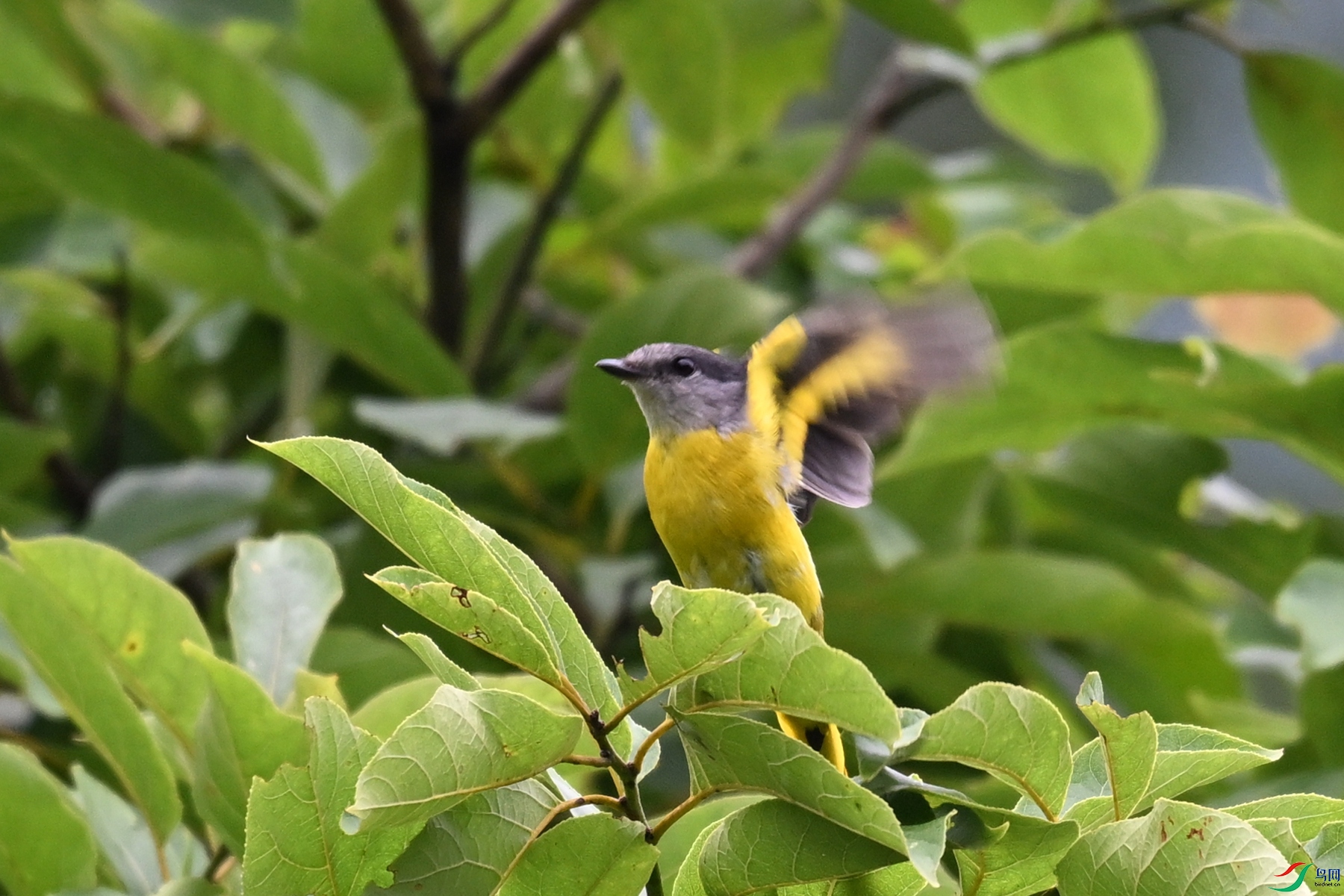 DSC_2843.JPG