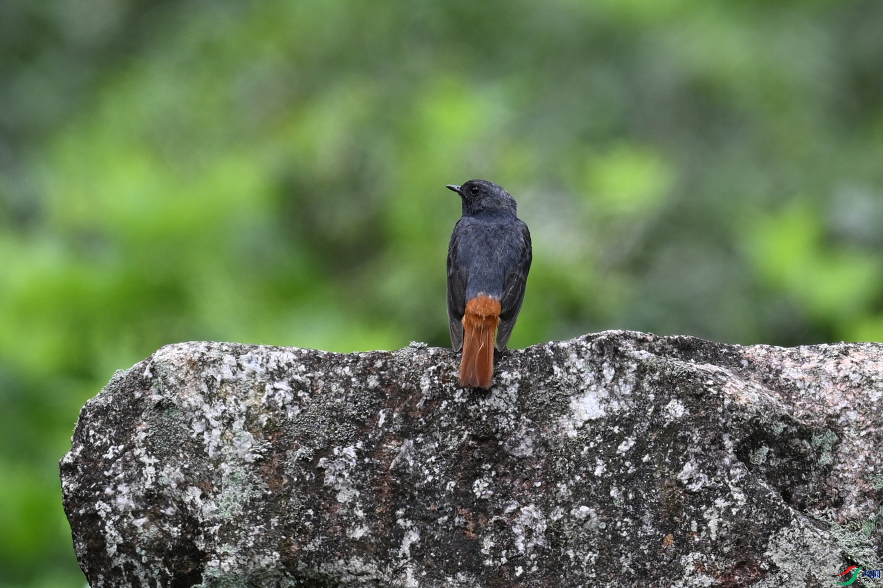 DSC_2906.JPG