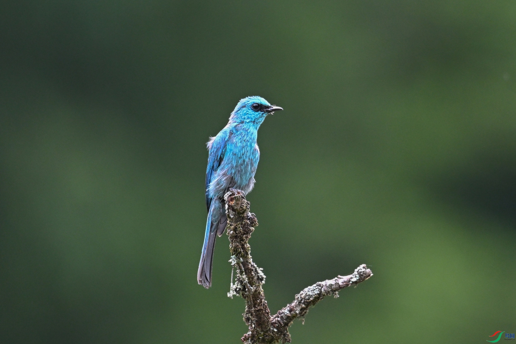 DSC_3124.JPG