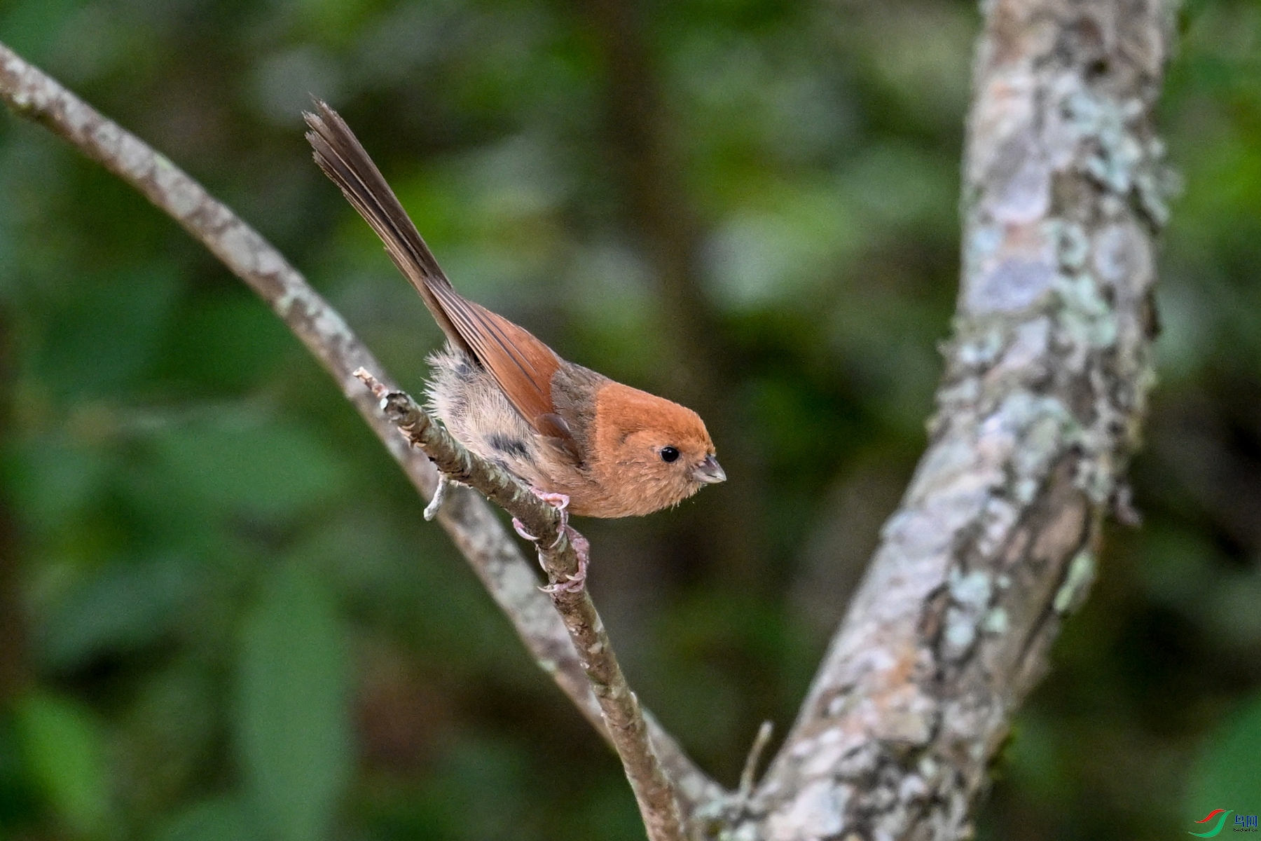 DSC_3234.JPG