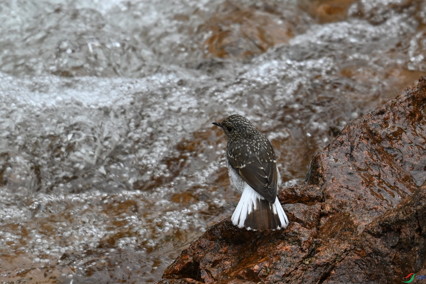 DSC_3260.JPG