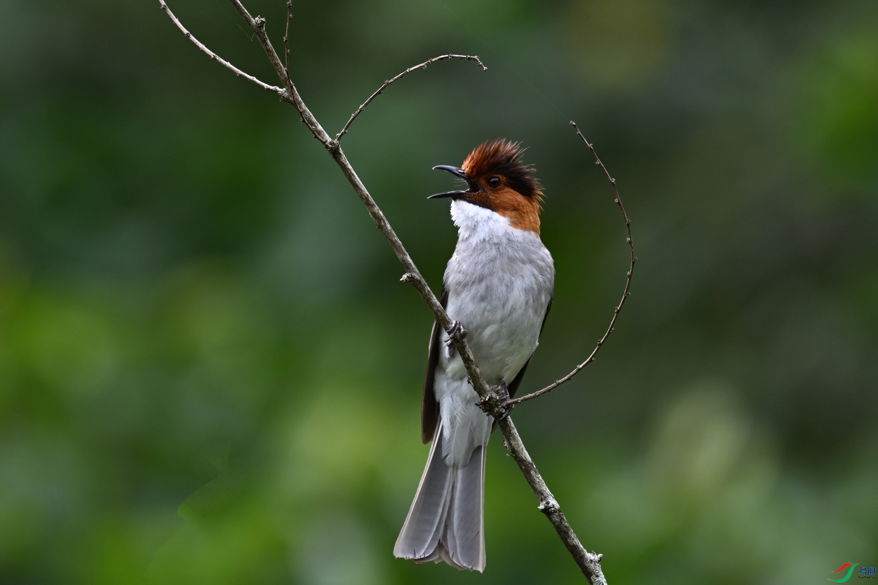 DSC_3317.JPG