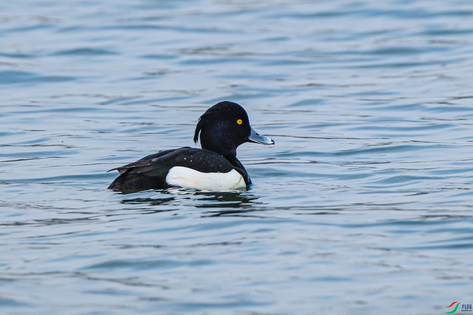 DSCF6124.jpg