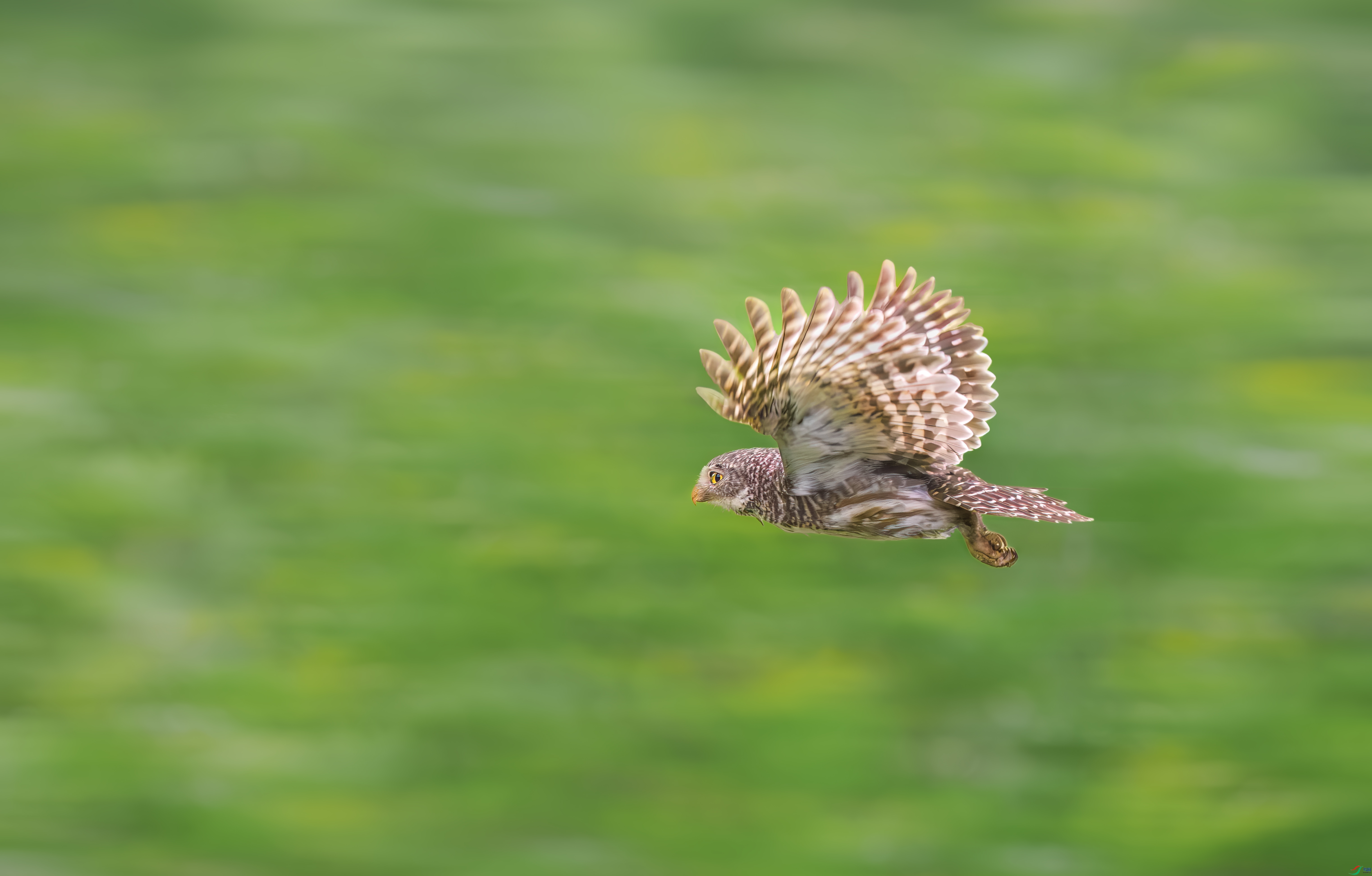 P5163959.jpg