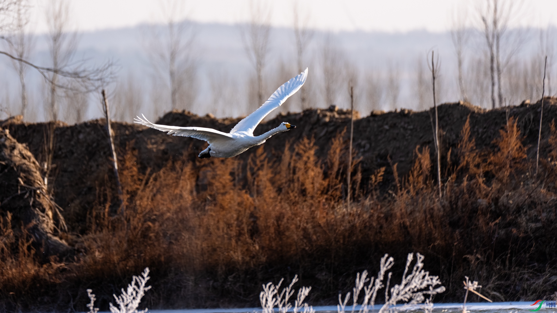 _DSC6494.jpg