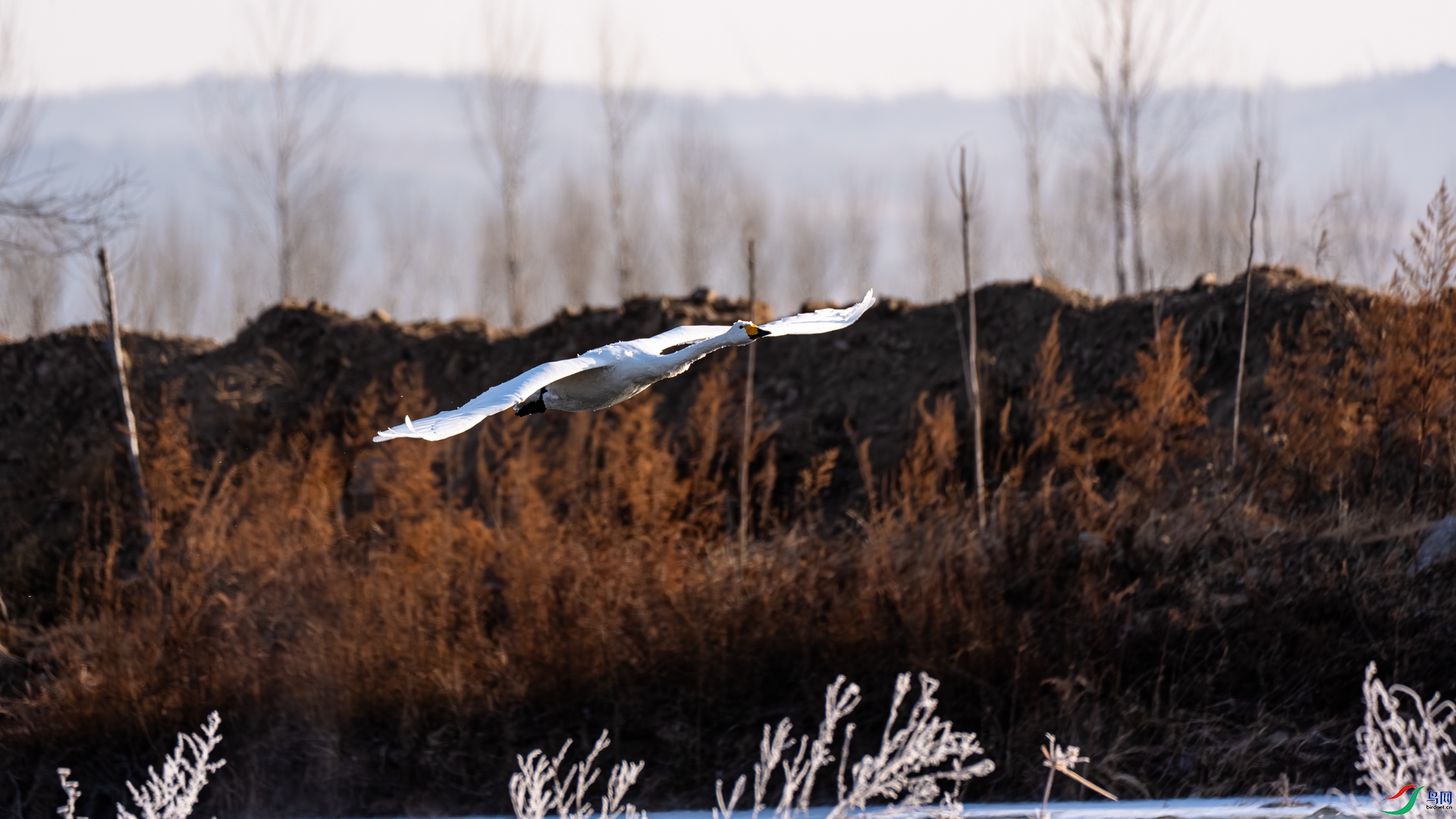 _DSC6496.jpg