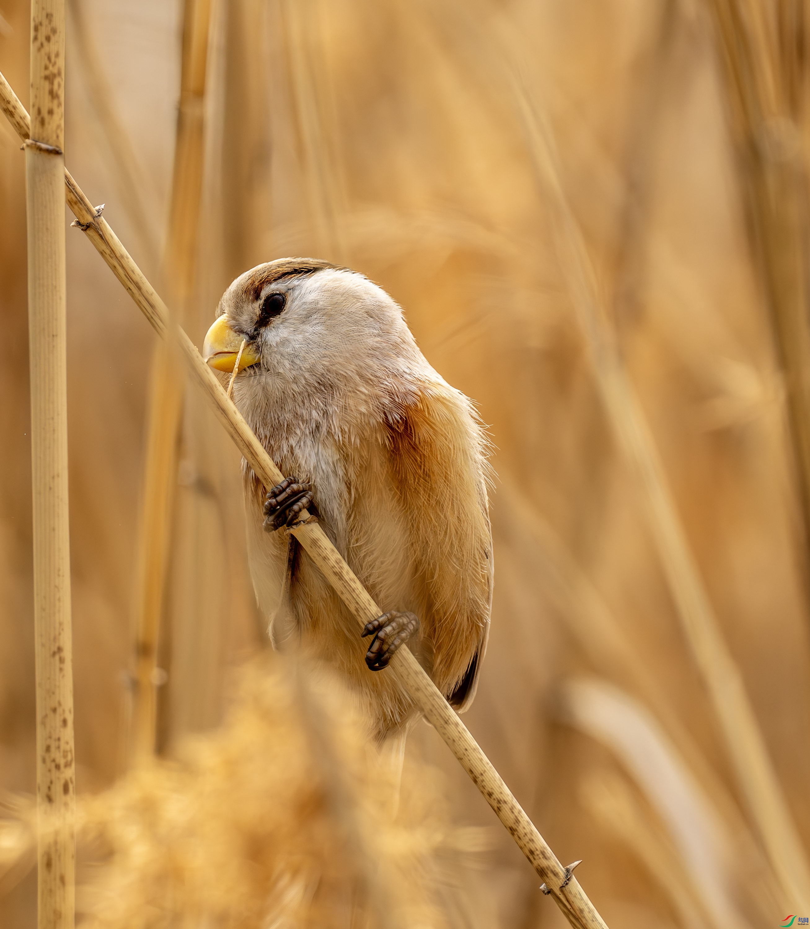 ��ѻȸ (1 - 3).jpg