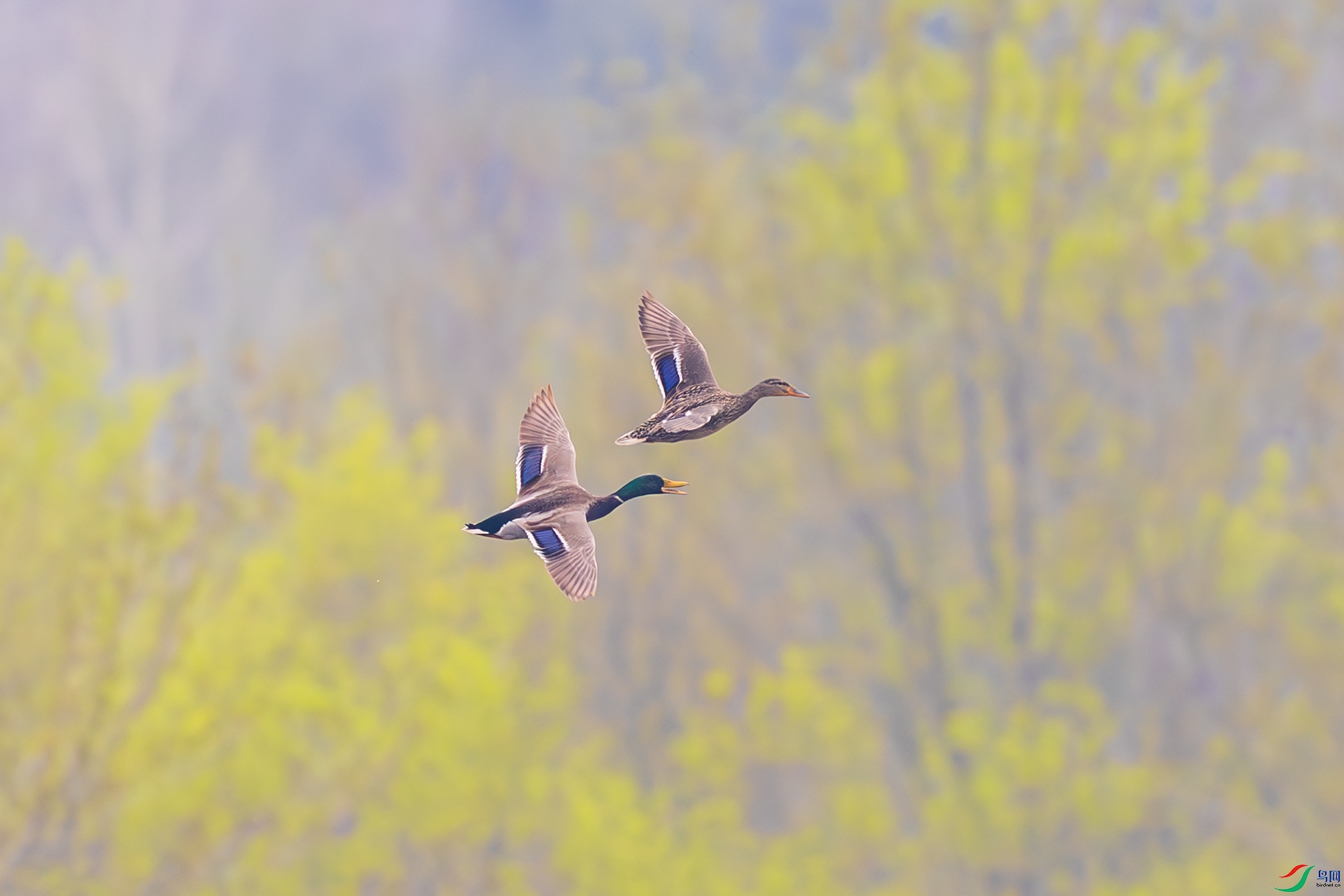 _F9A8879 ����.jpg