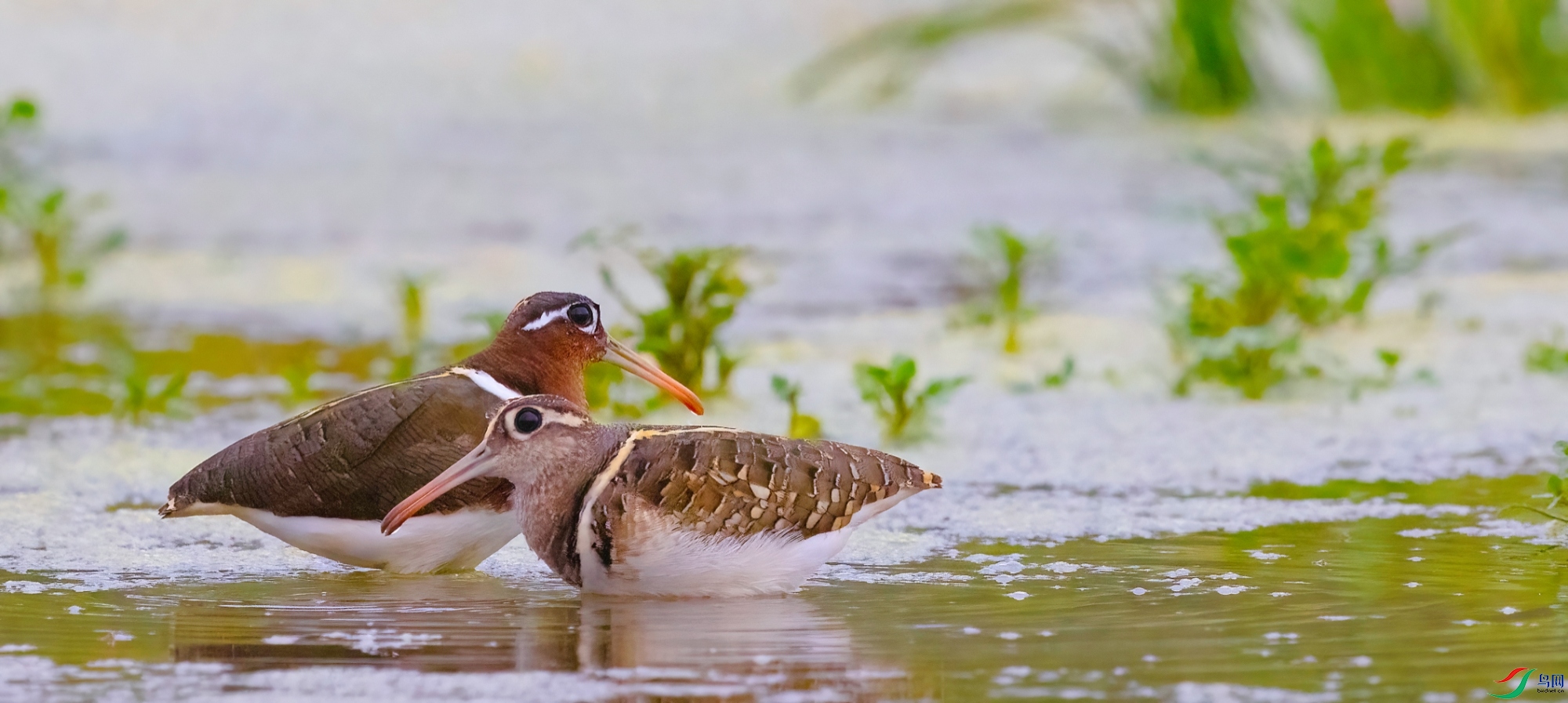 MEITU_20260326_151946905.jpg