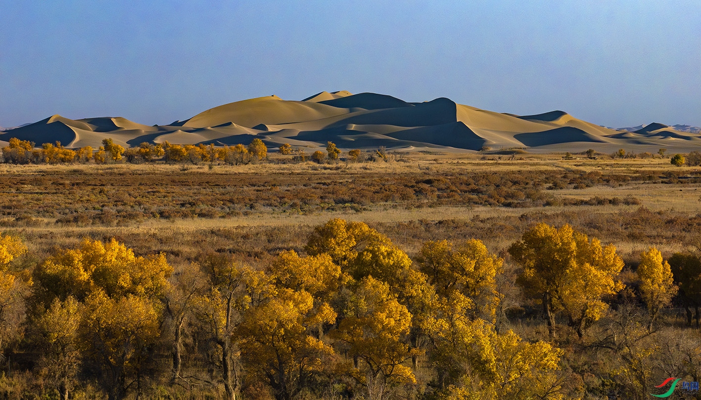 DJI_20251025184713_0062_D-����ǿ-NR ����.jpg