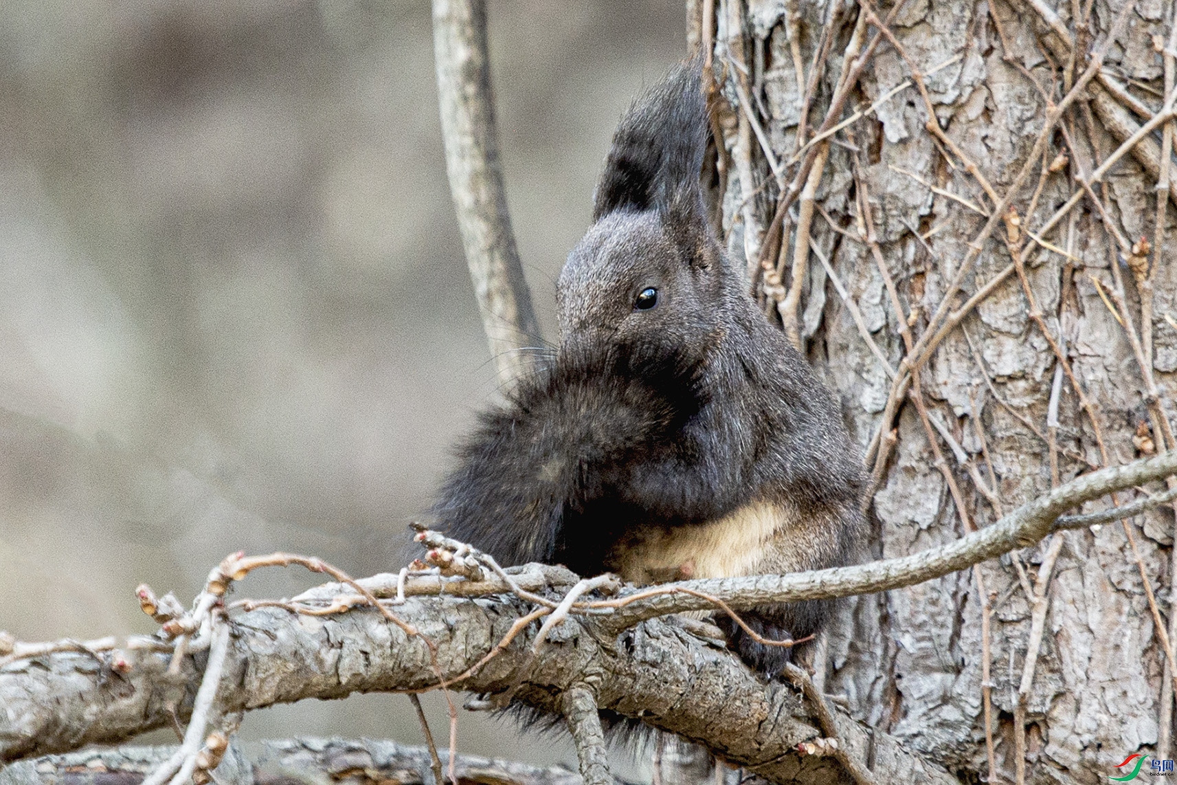 _MG_8259 ���� 2.jpg