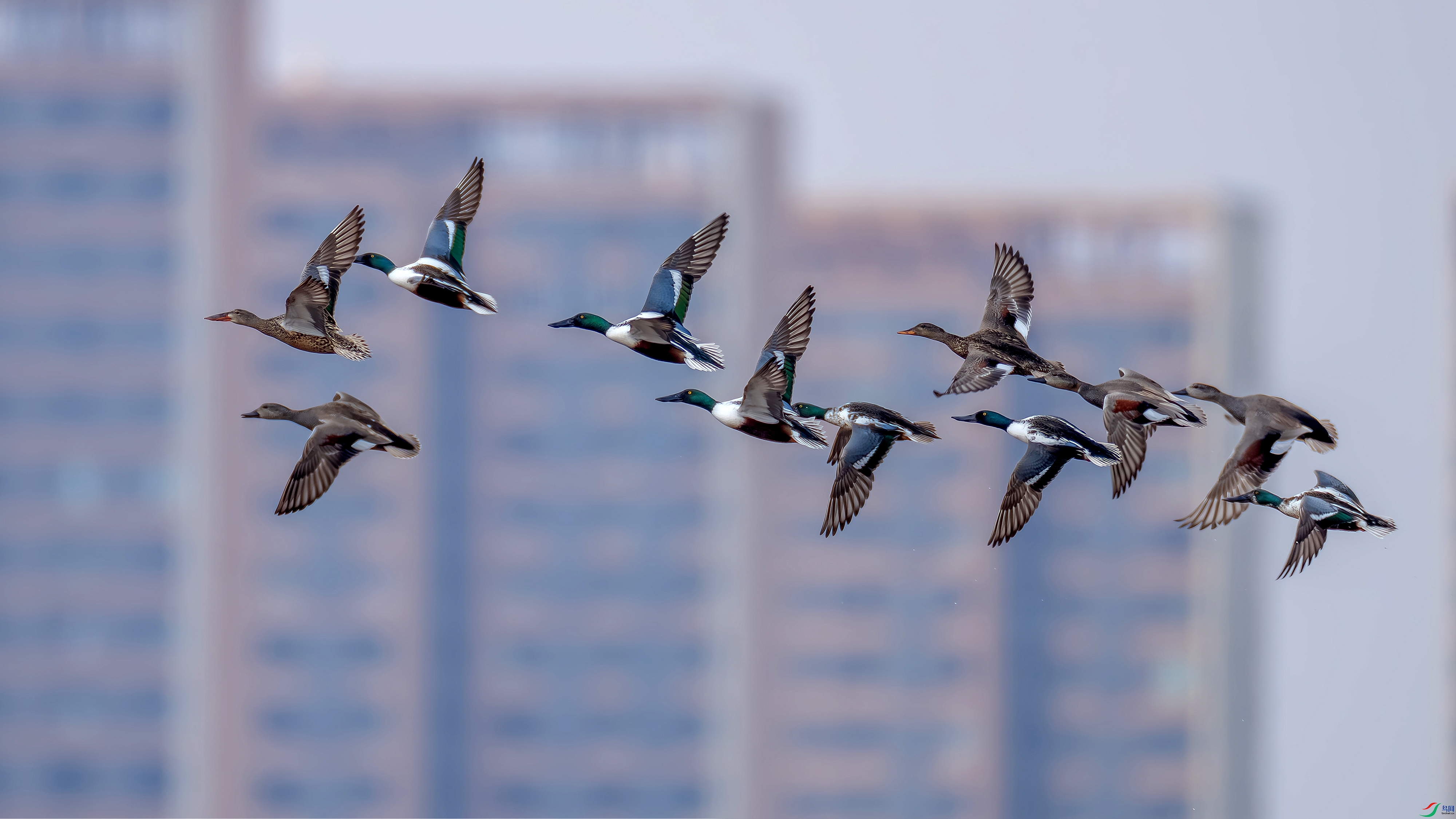 _DSC1250 ����1 ���� 2.jpg