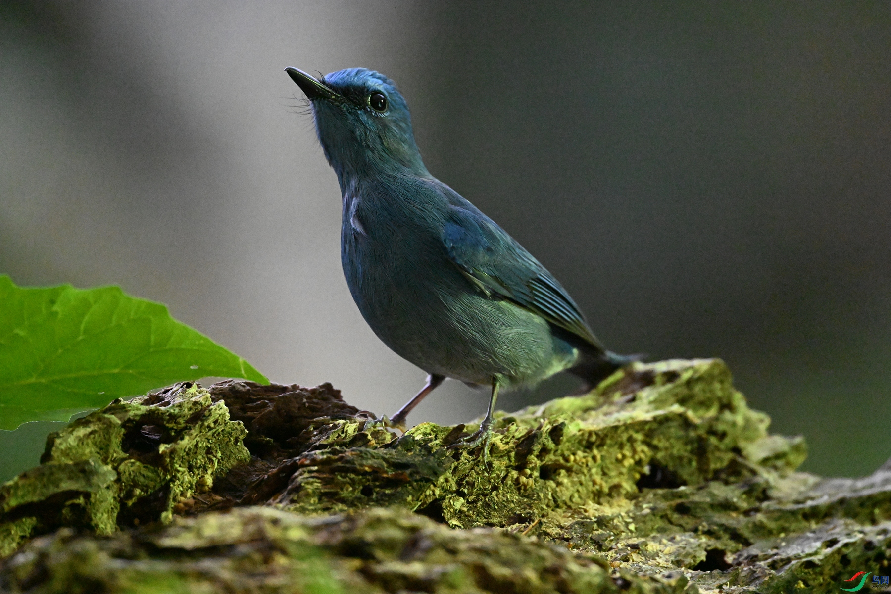 DSC_6995.JPG