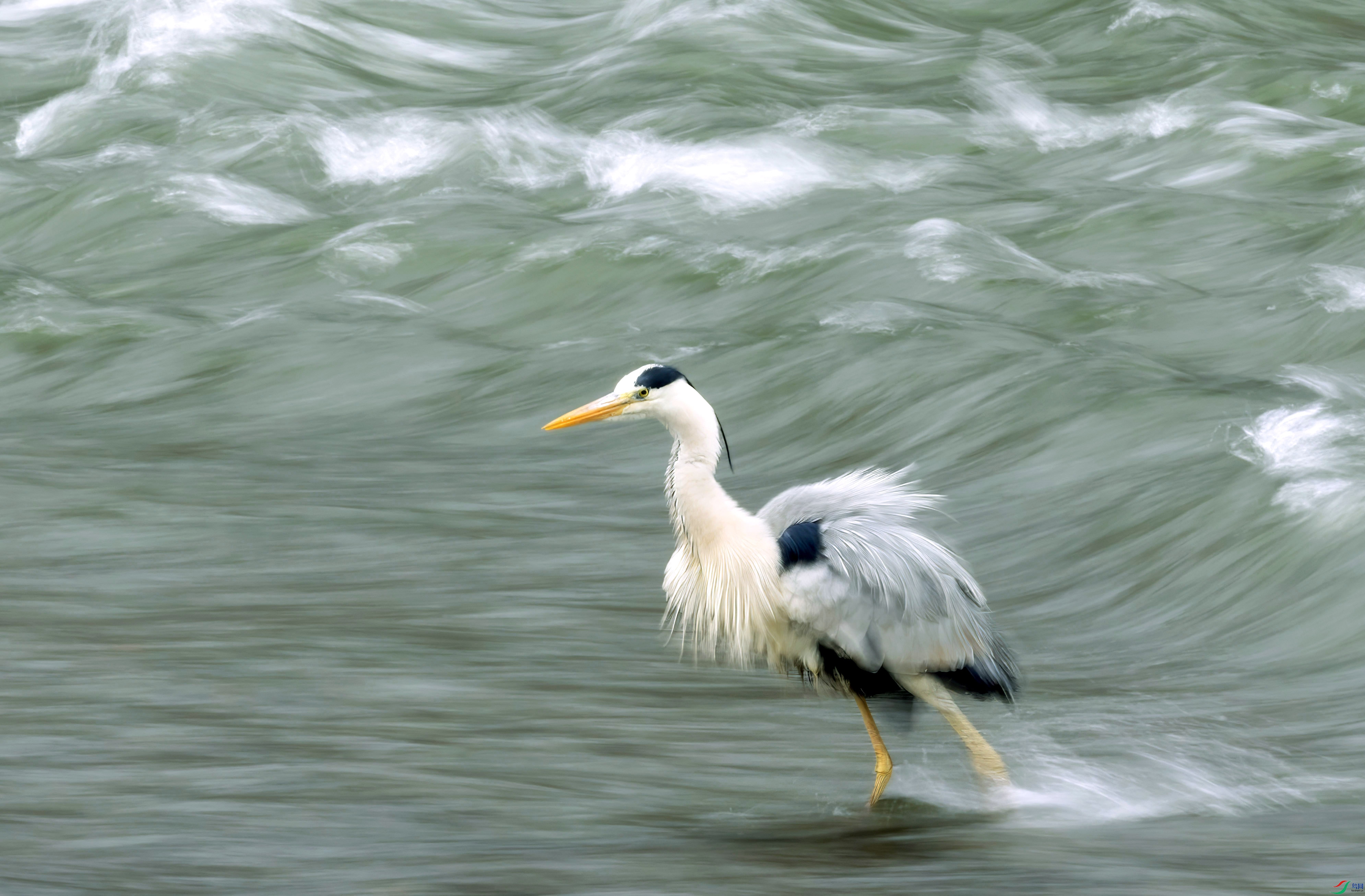 C87A5319 ���� 3.jpg