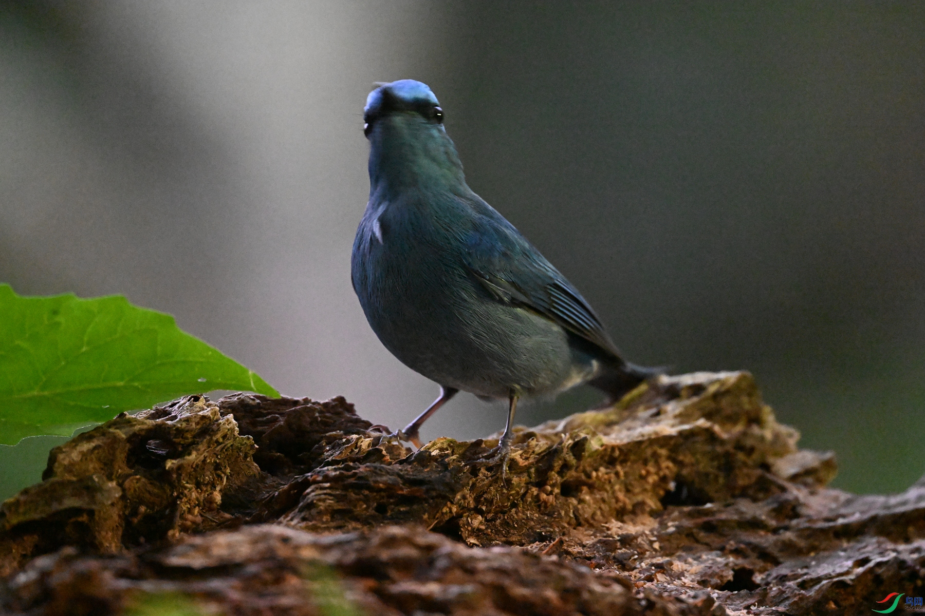 DSC_6994.JPG