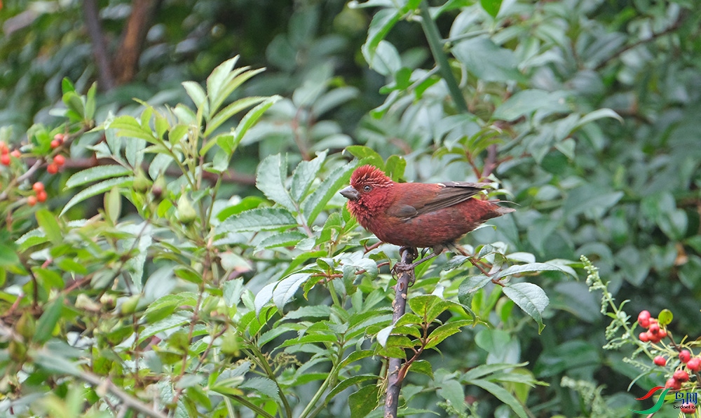 DSCF5038.1.jpg