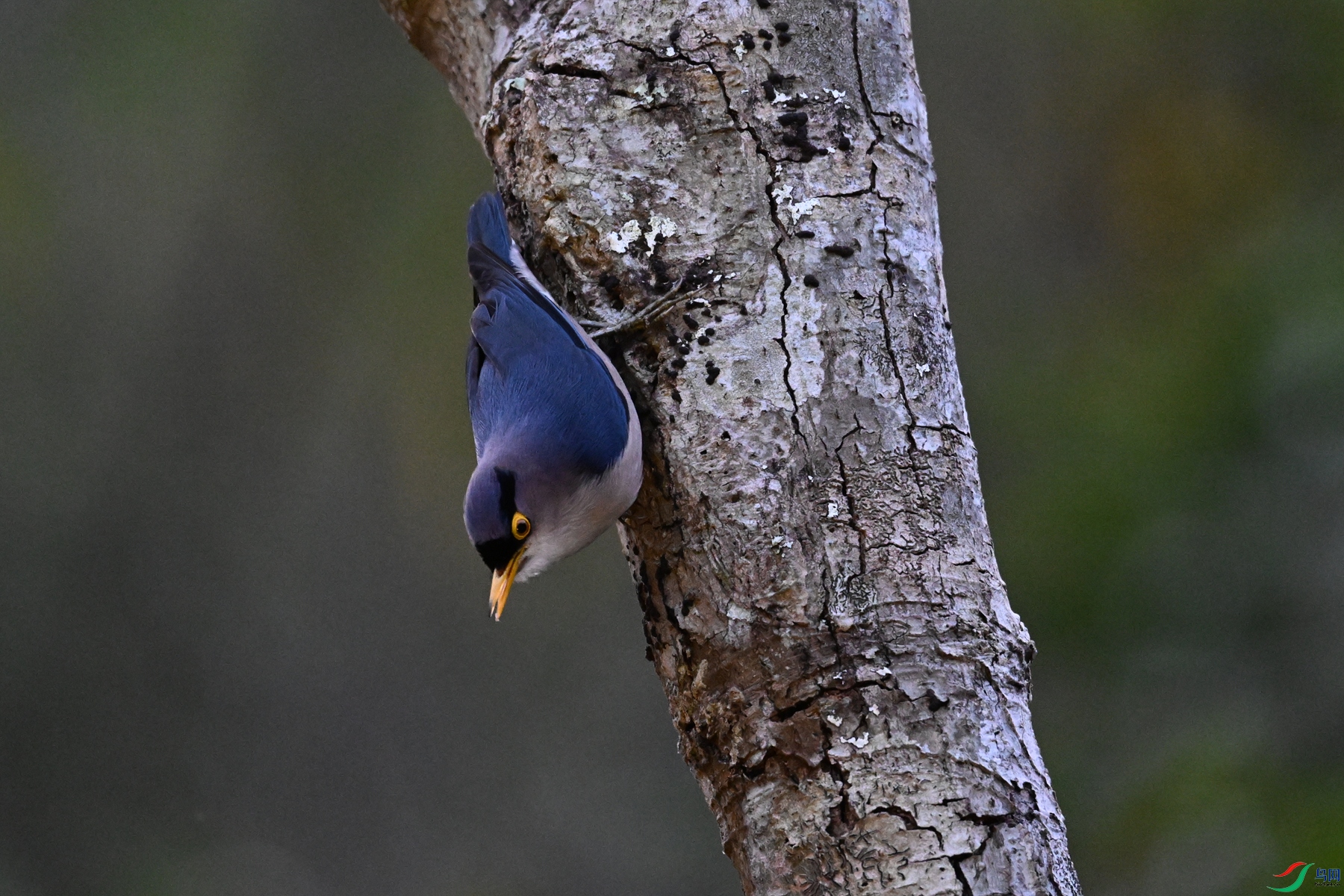 DSC_7011.JPG