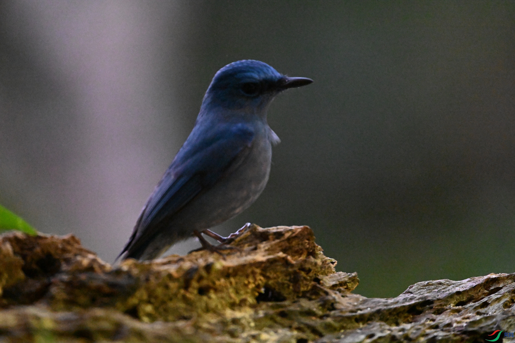DSC_6992.JPG